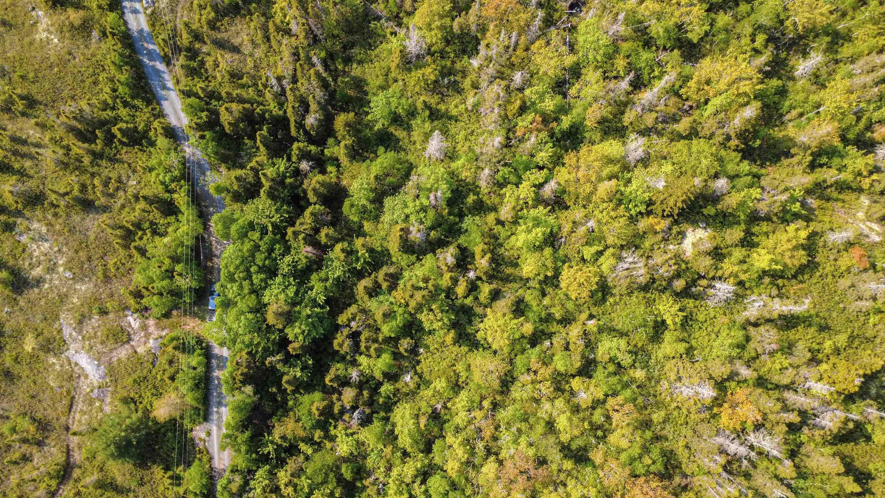 27 Big Lake Drive, Big Lake, NS (MLS 202513576)