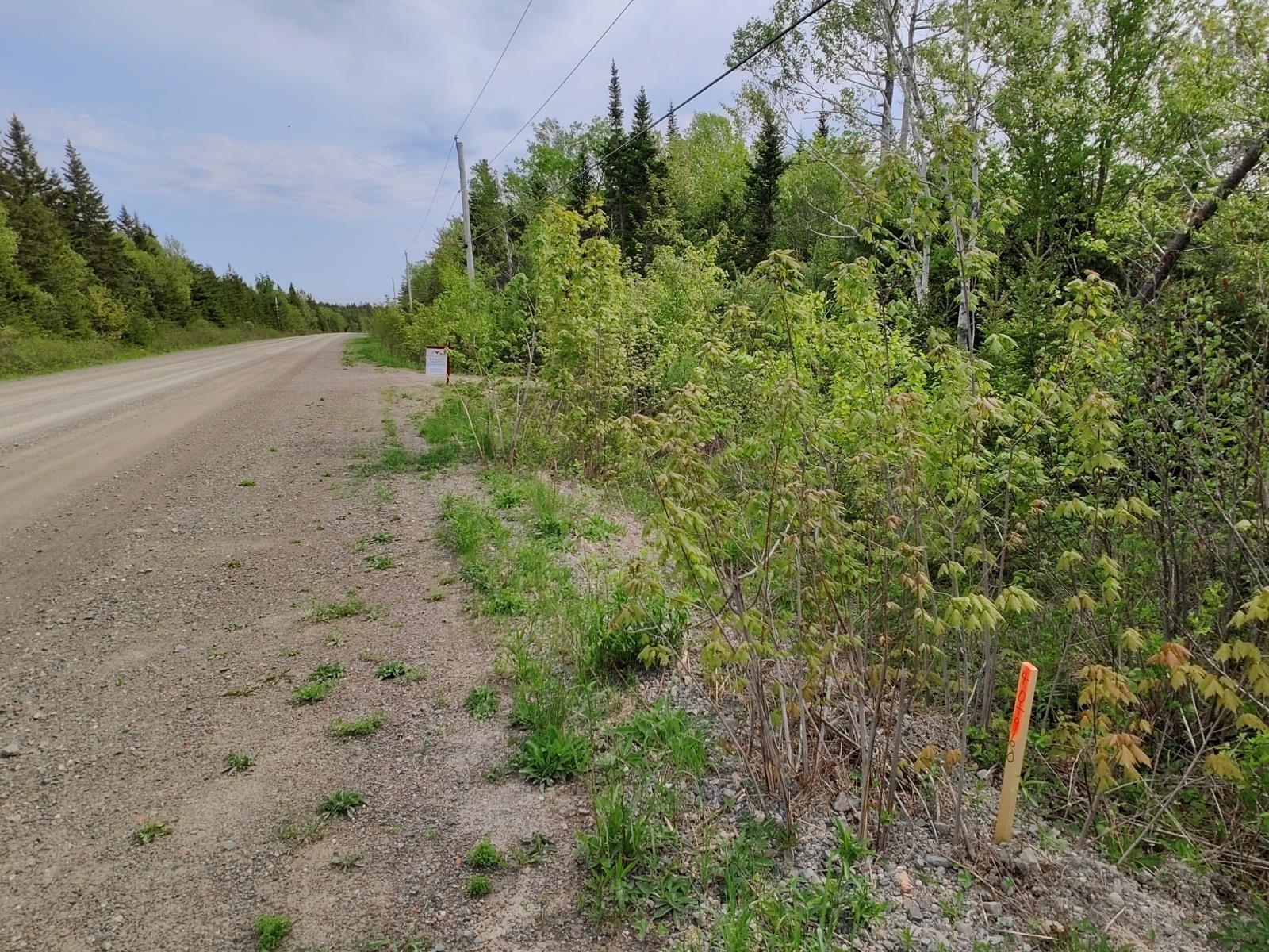 $165,000.00: Lot 4-A Grand Mira Highway S, Grand Mira South