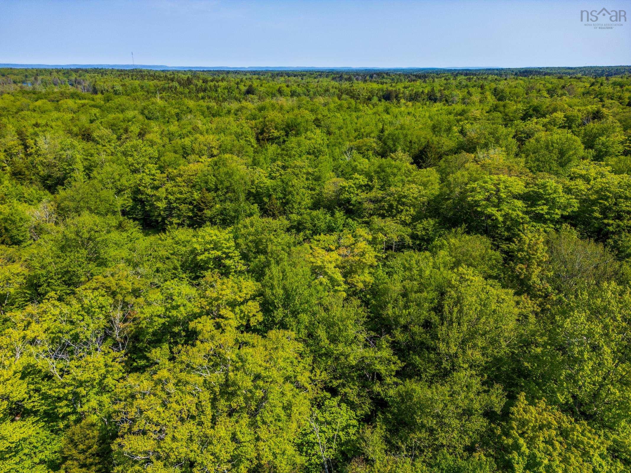 $29,500.00: Lot 2 Chemin Theriault Point Road, Belliveaus Cove