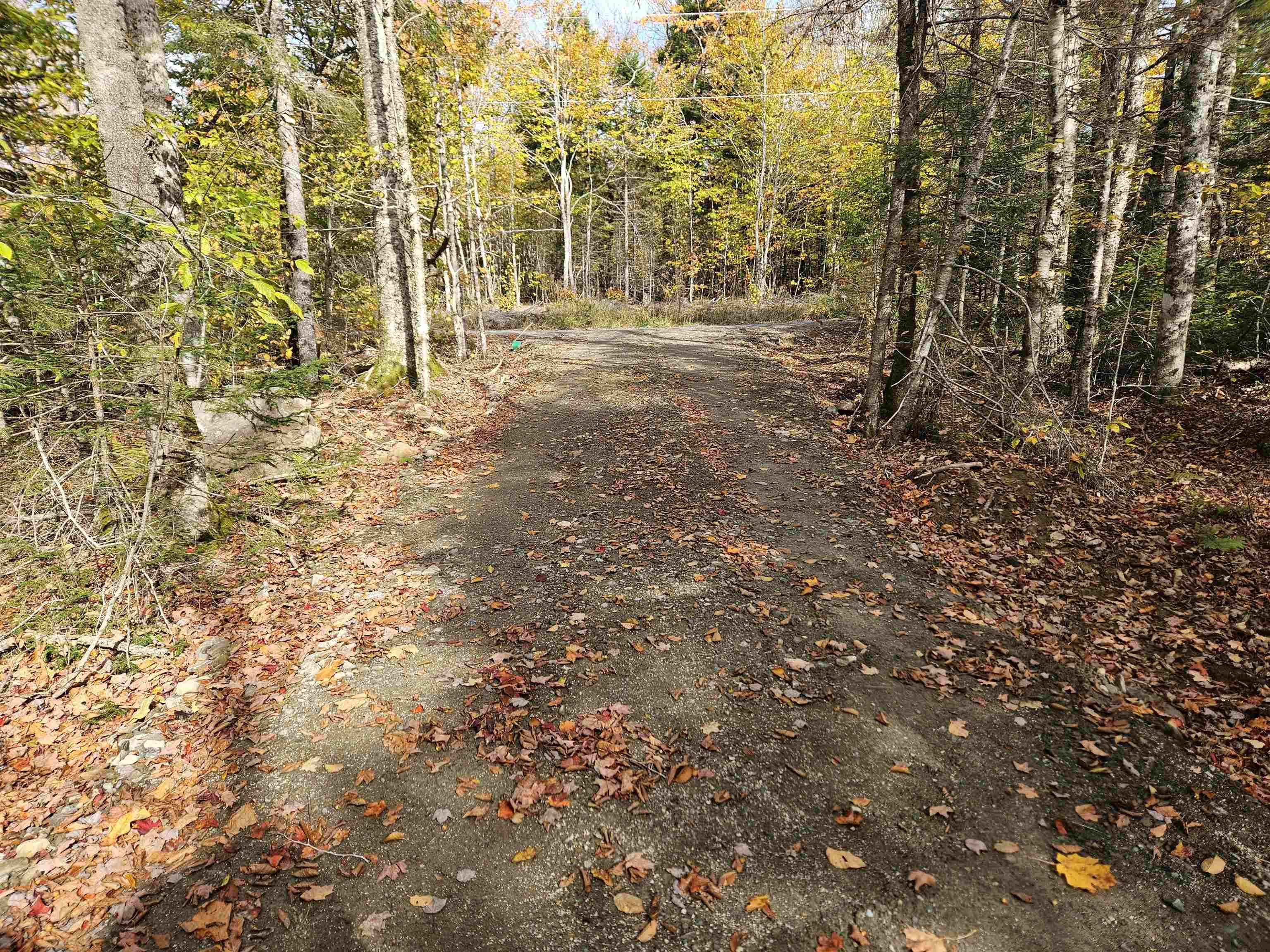 $29,500.00: Lot 2 Chemin Theriault Point Road, Belliveaus Cove