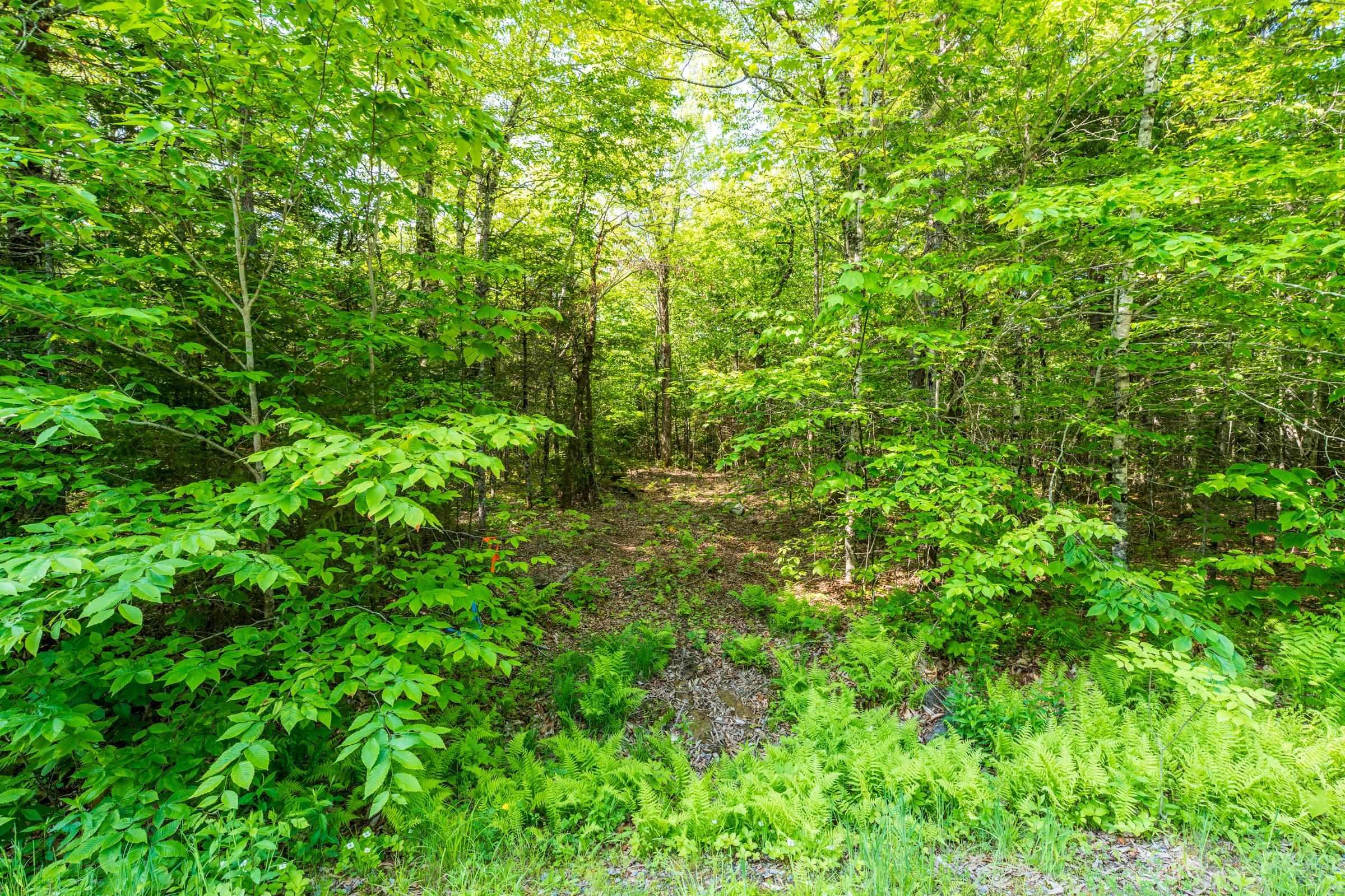 $29,500.00: Lot 2 Chemin Theriault Point Road, Belliveaus Cove