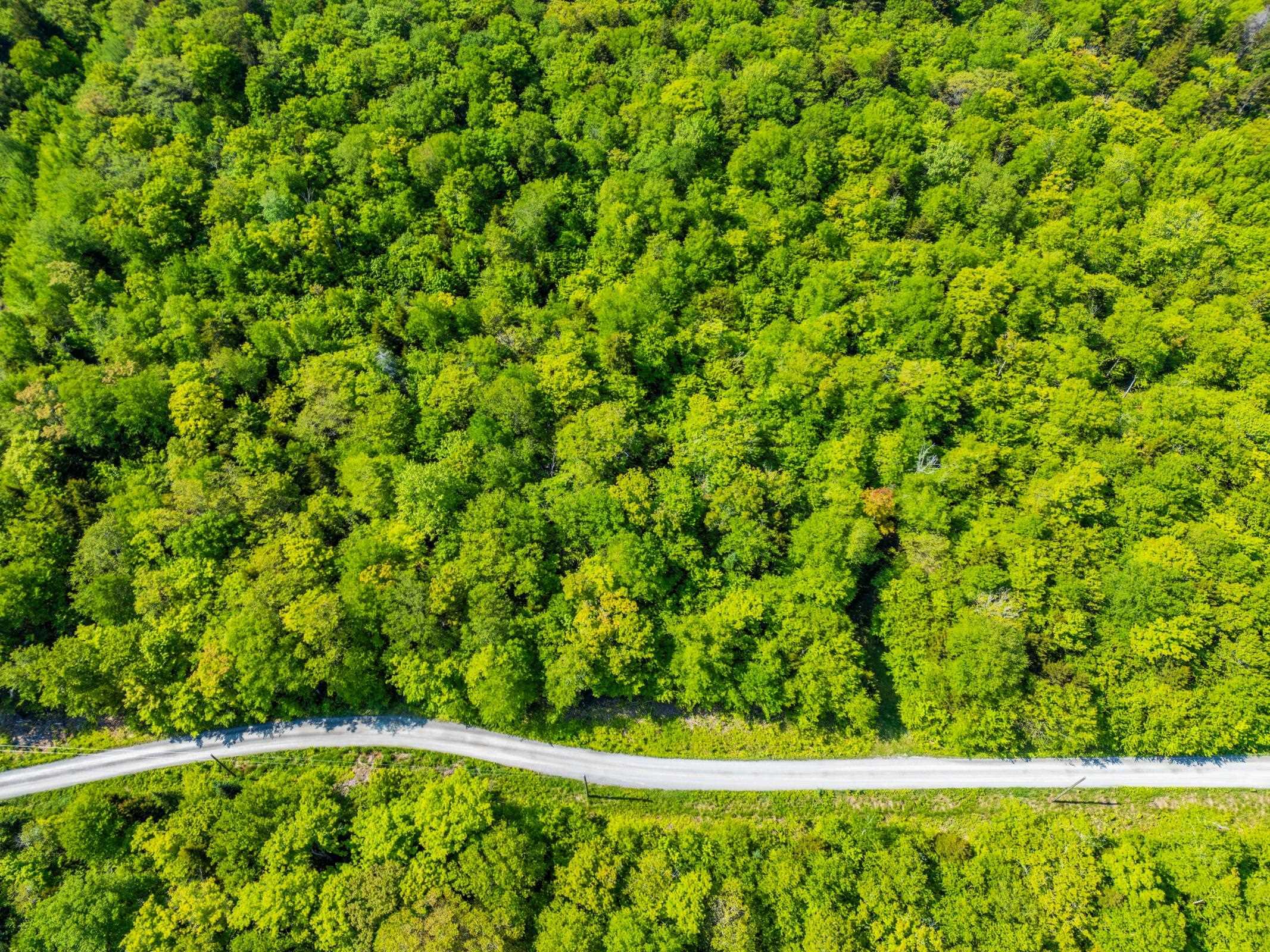 $29,500.00: Lot 2 Chemin Theriault Point Road, Belliveaus Cove