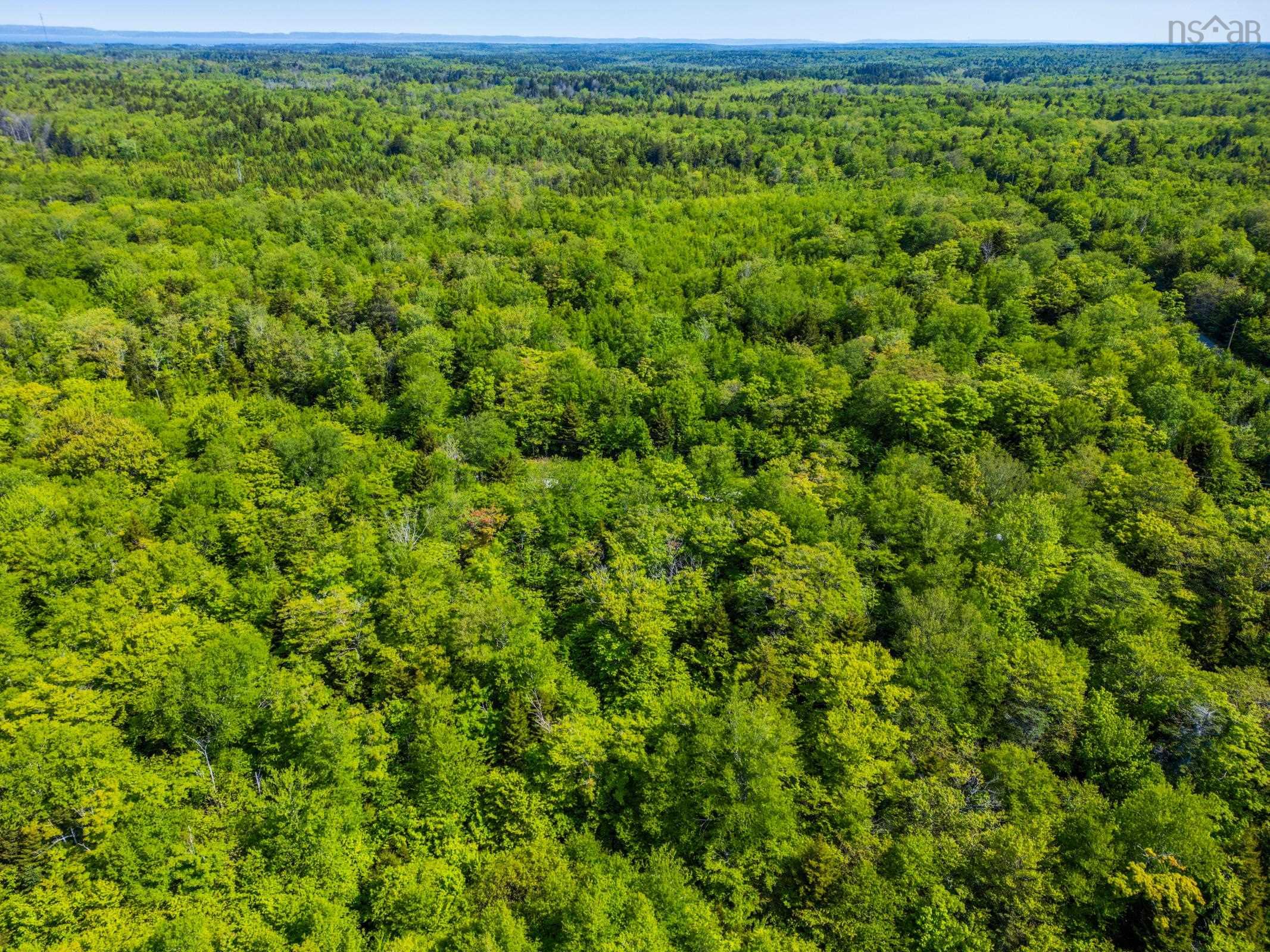 $29,500.00: Lot 2 Chemin Theriault Point Road, Belliveaus Cove