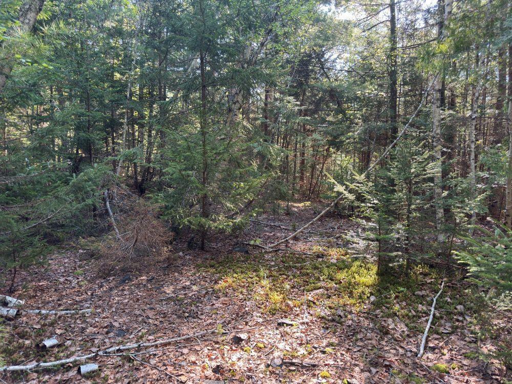 $96,900.00: Station Road, Kinsac