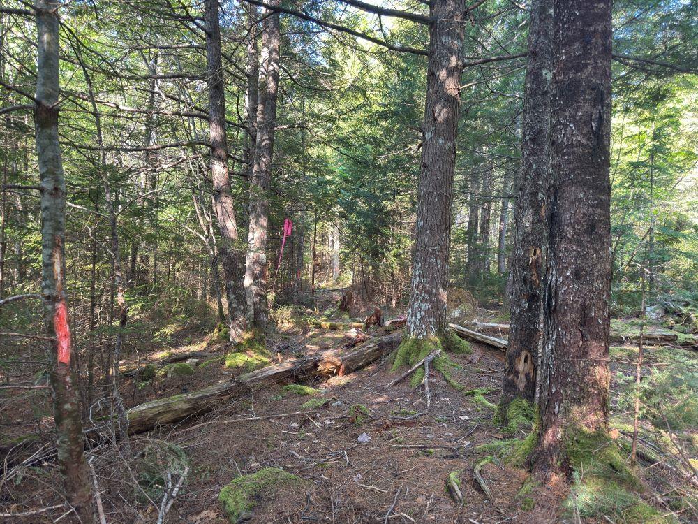 $96,900.00: Station Road, Kinsac