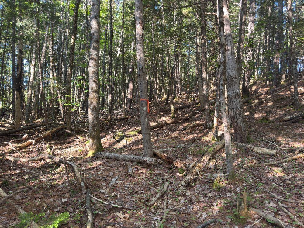 $96,900.00: Station Road, Kinsac