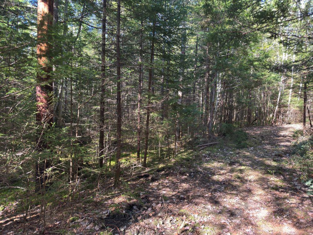 $96,900.00: Station Road, Kinsac