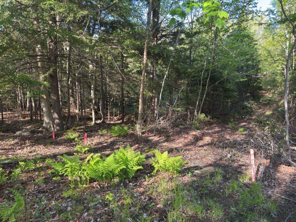 $96,900.00: Station Road, Kinsac