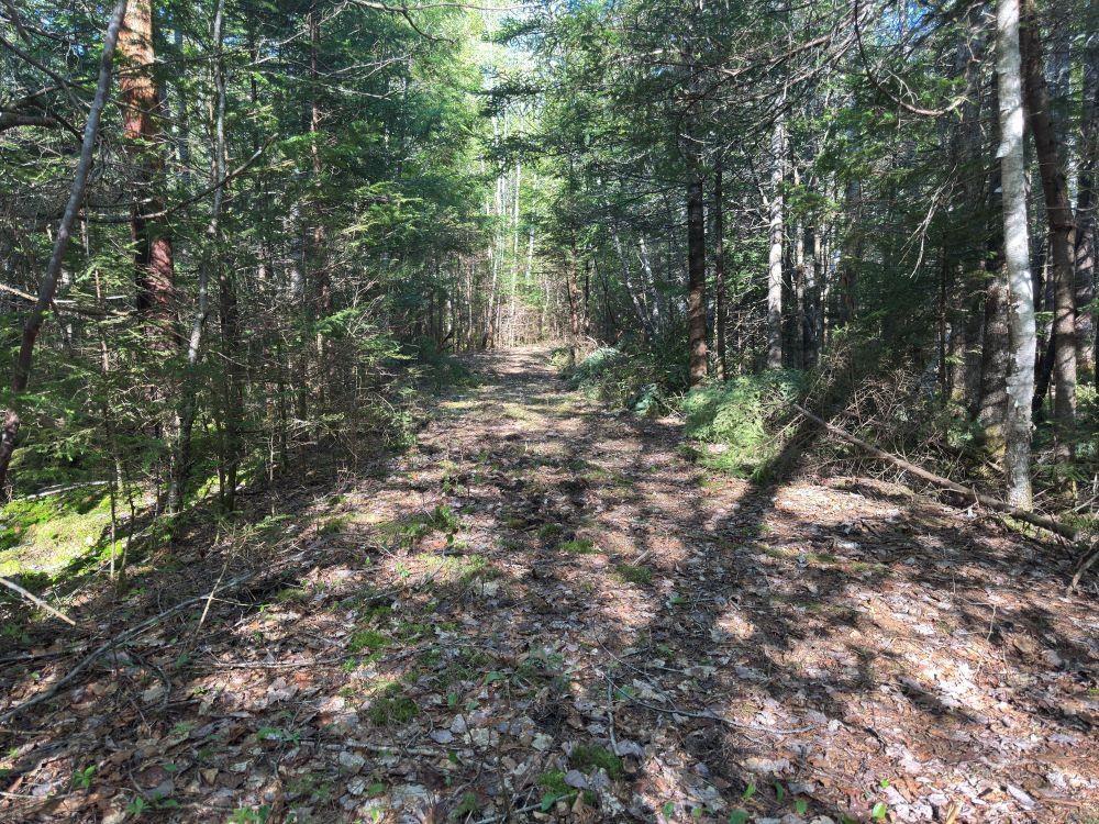 $96,900.00: Station Road, Kinsac