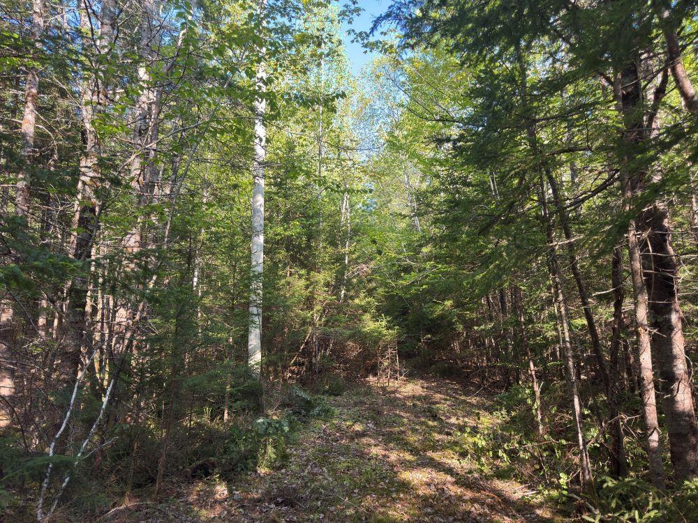 $96,900.00: Station Road, Kinsac