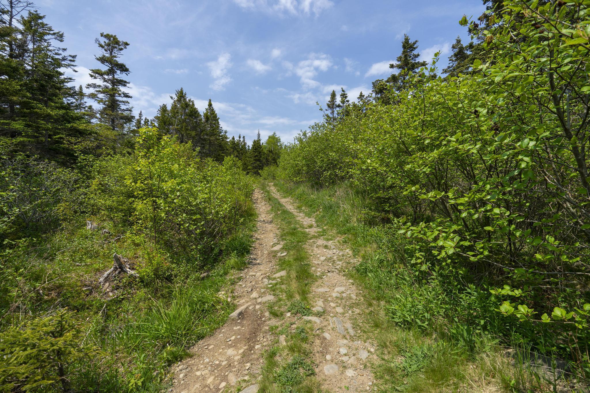 $55,000.00: Lot 8 South View Drive, Freeport