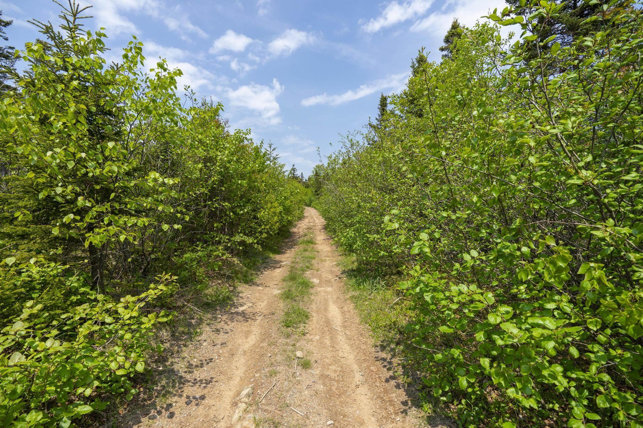 $55,000.00: Lot 8 South View Drive, Freeport