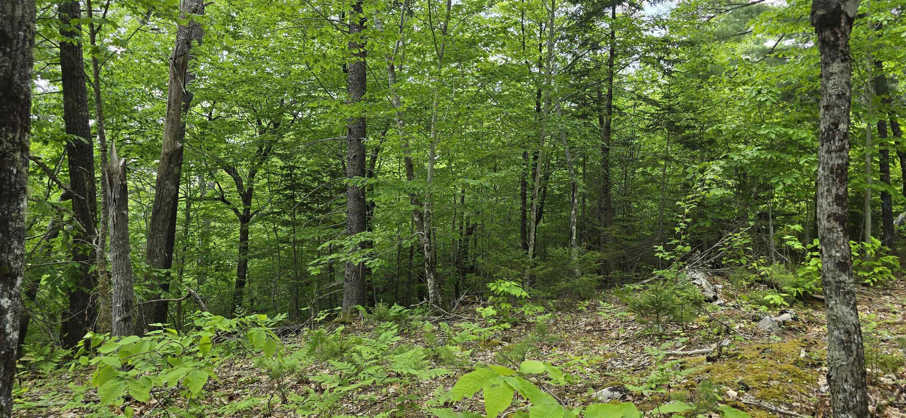 $41,900.00: Lot 24-1 East Clifford Road, East Clifford