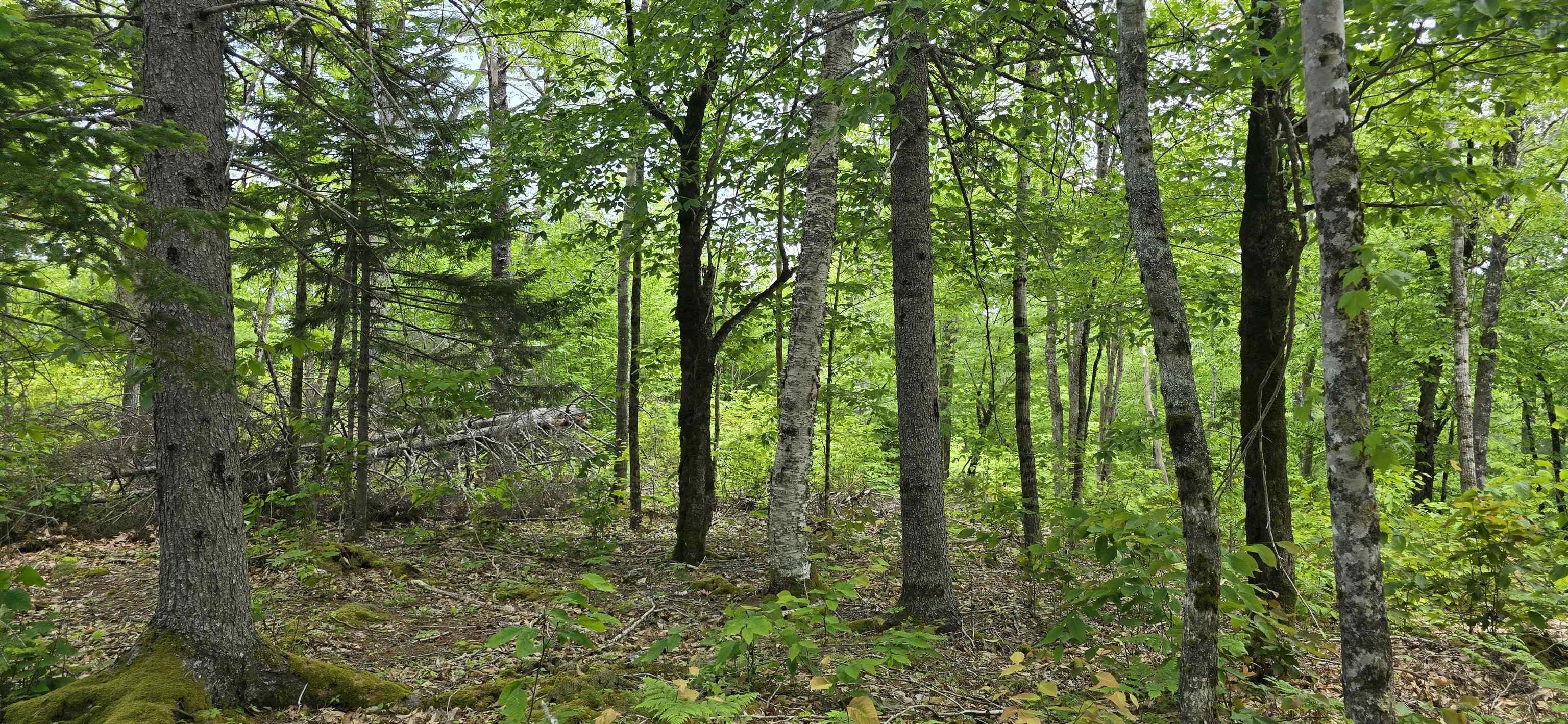 $41,900.00: Lot 24-1 East Clifford Road, East Clifford