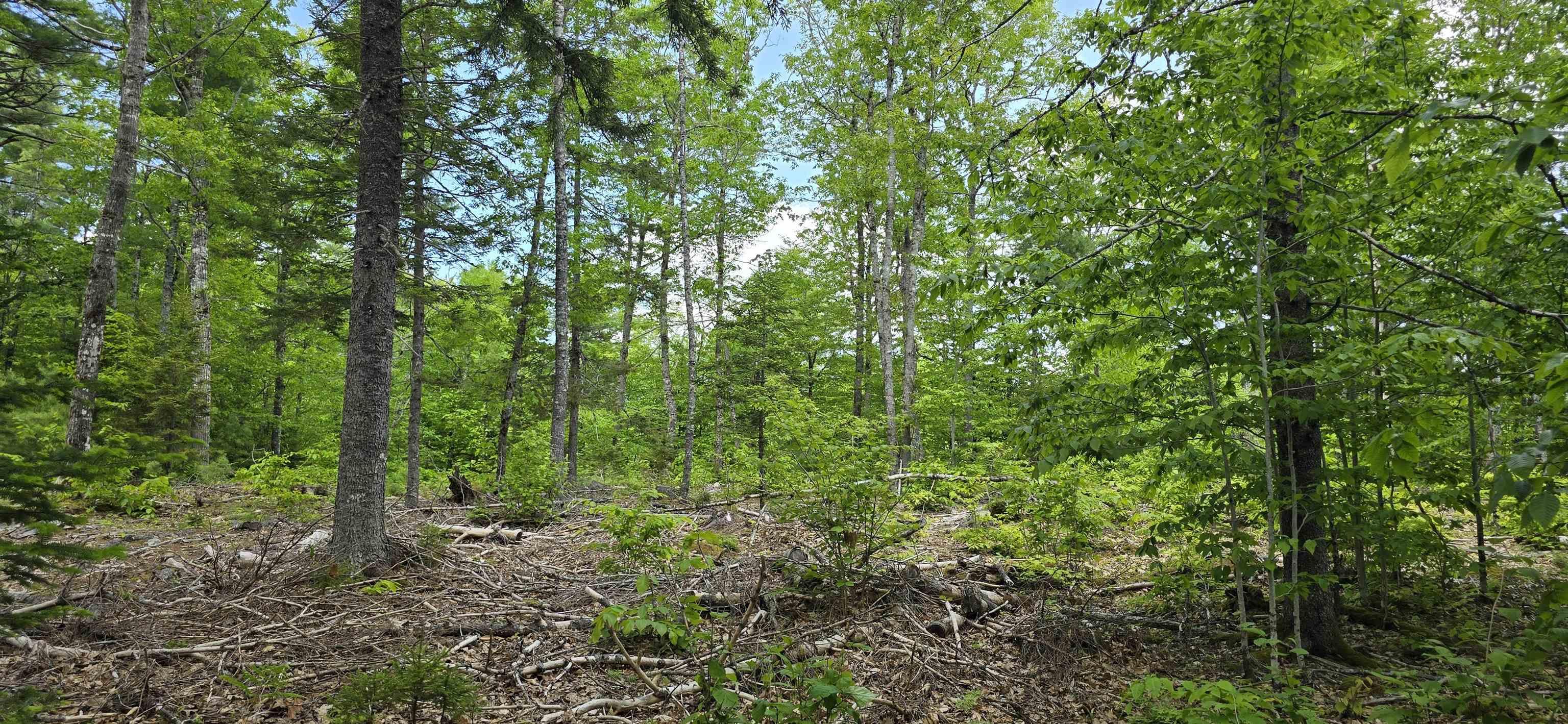 $41,900.00: Lot 24-1 East Clifford Road, East Clifford