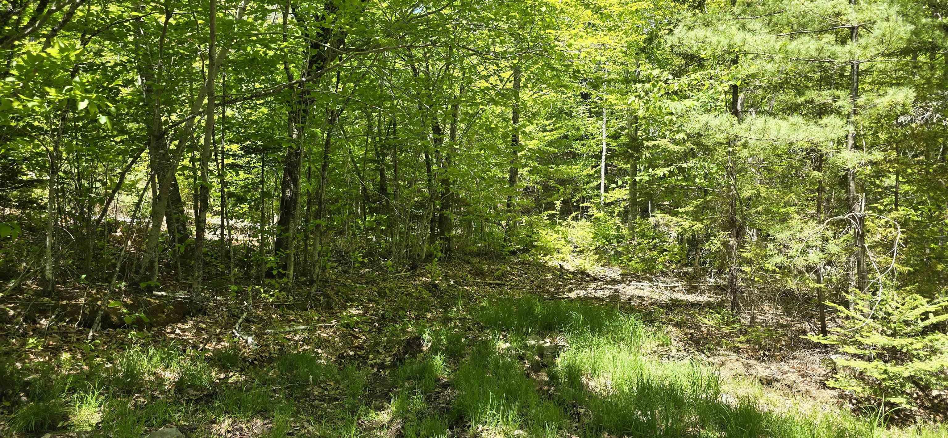 $41,900.00: Lot 24-1 East Clifford Road, East Clifford