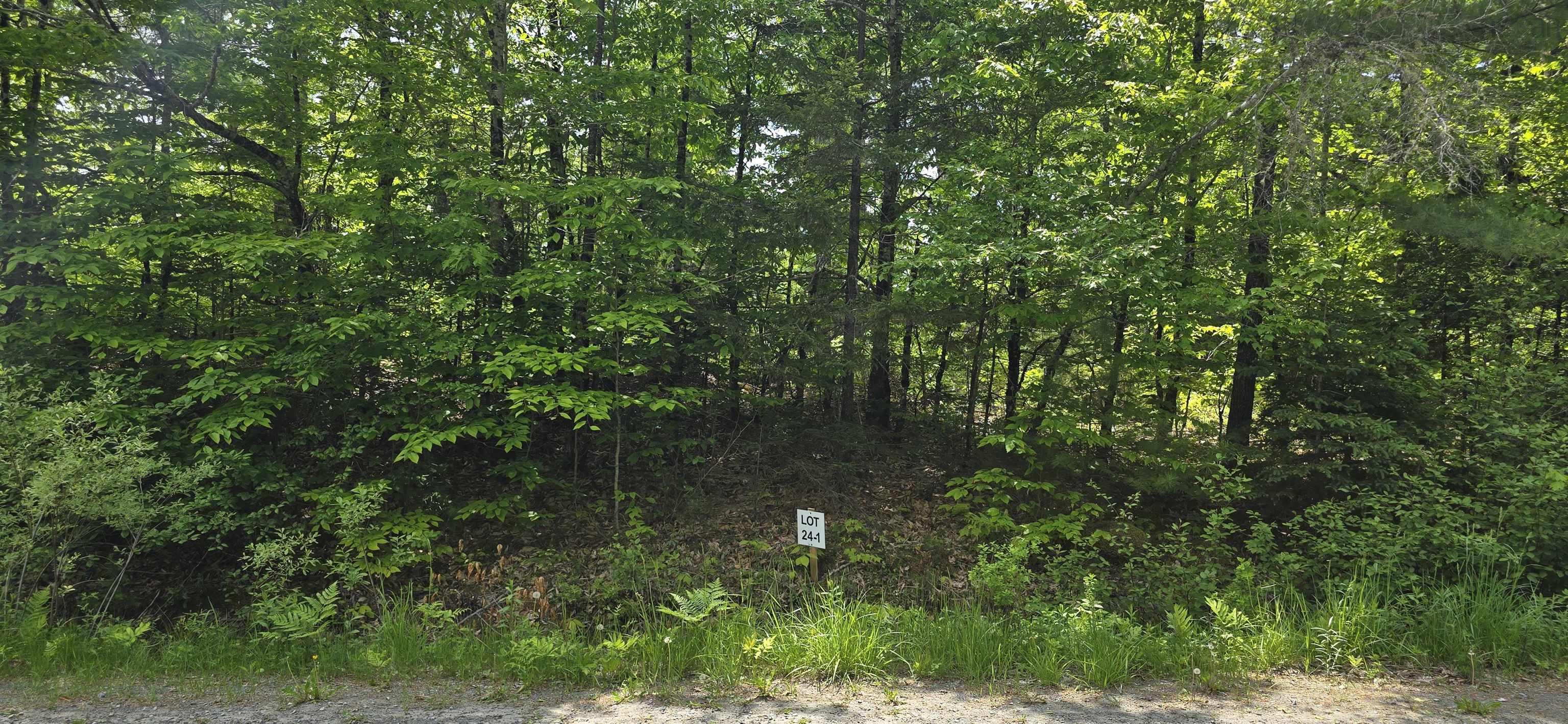 $41,900.00: Lot 24-1 East Clifford Road, East Clifford