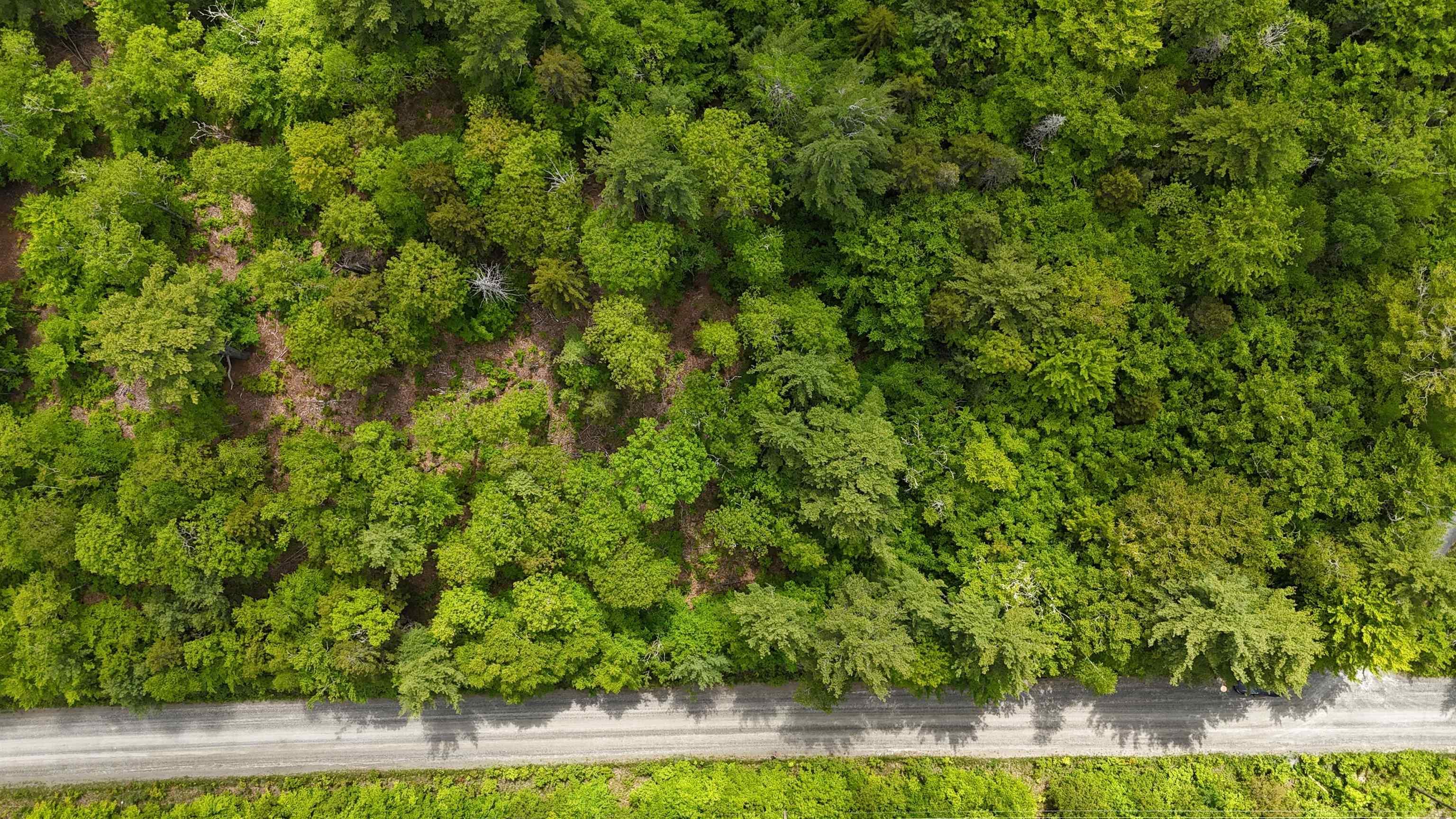 $41,900.00: Lot 24-1 East Clifford Road, East Clifford