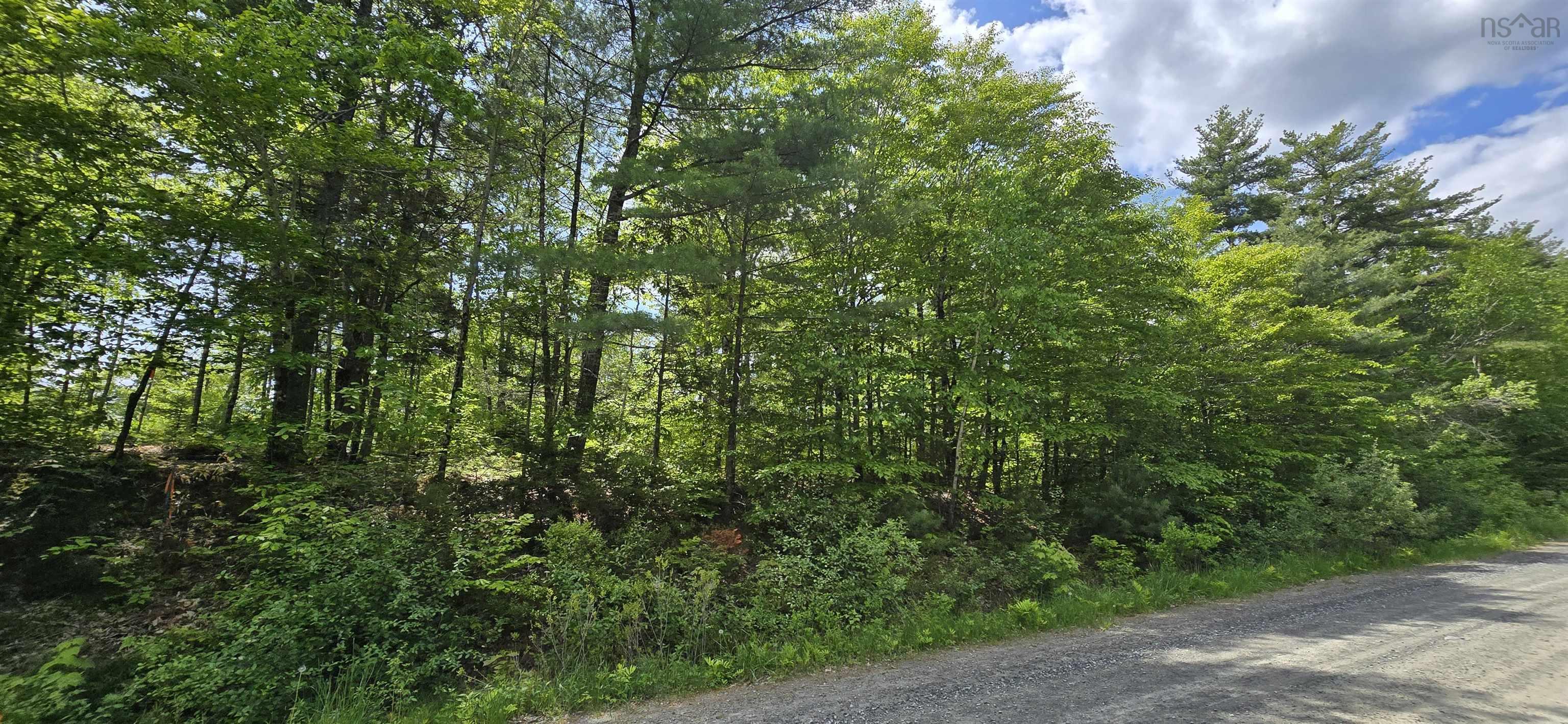 $41,900.00: Lot 24-1 East Clifford Road, East Clifford