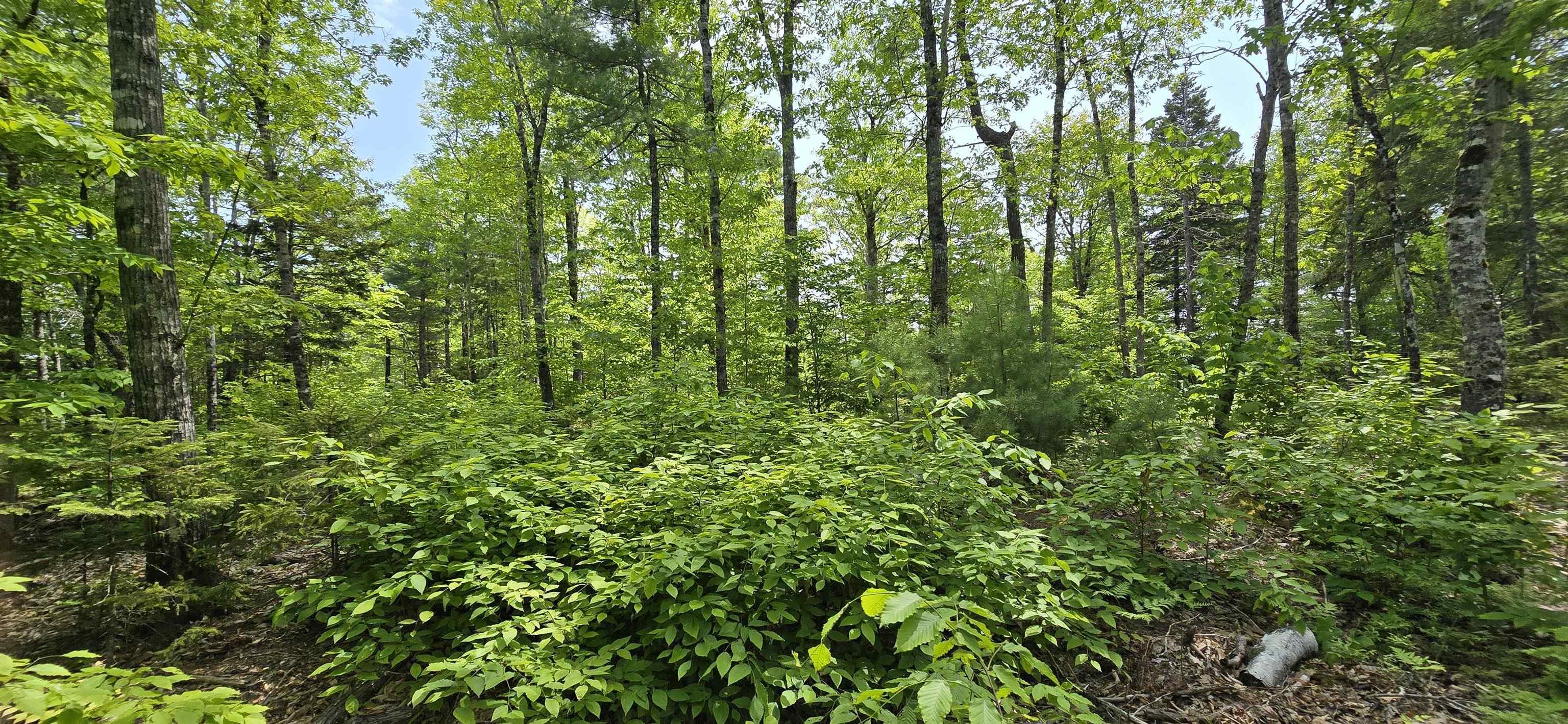 $41,900.00: Lot 24-1 East Clifford Road, East Clifford