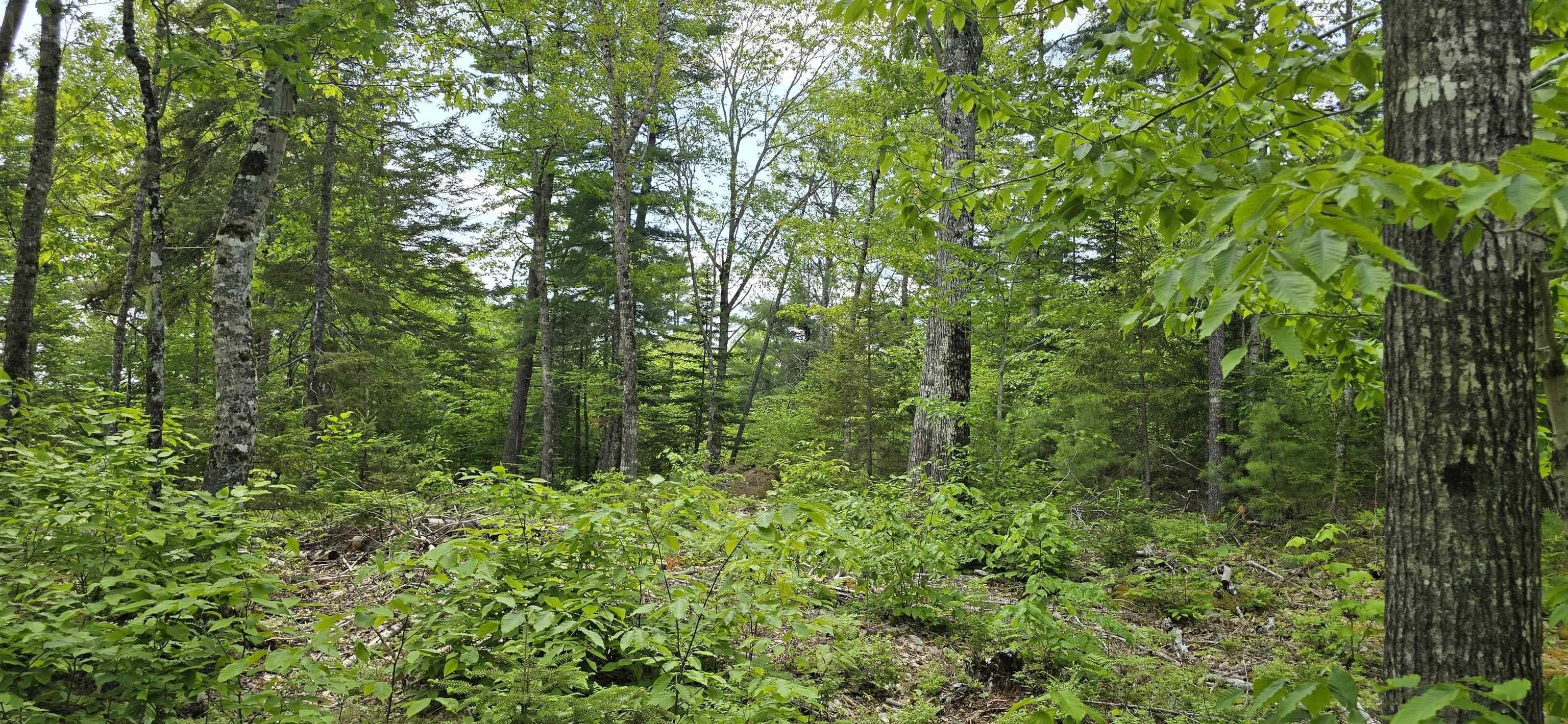 $41,900.00: Lot 24-1 East Clifford Road, East Clifford