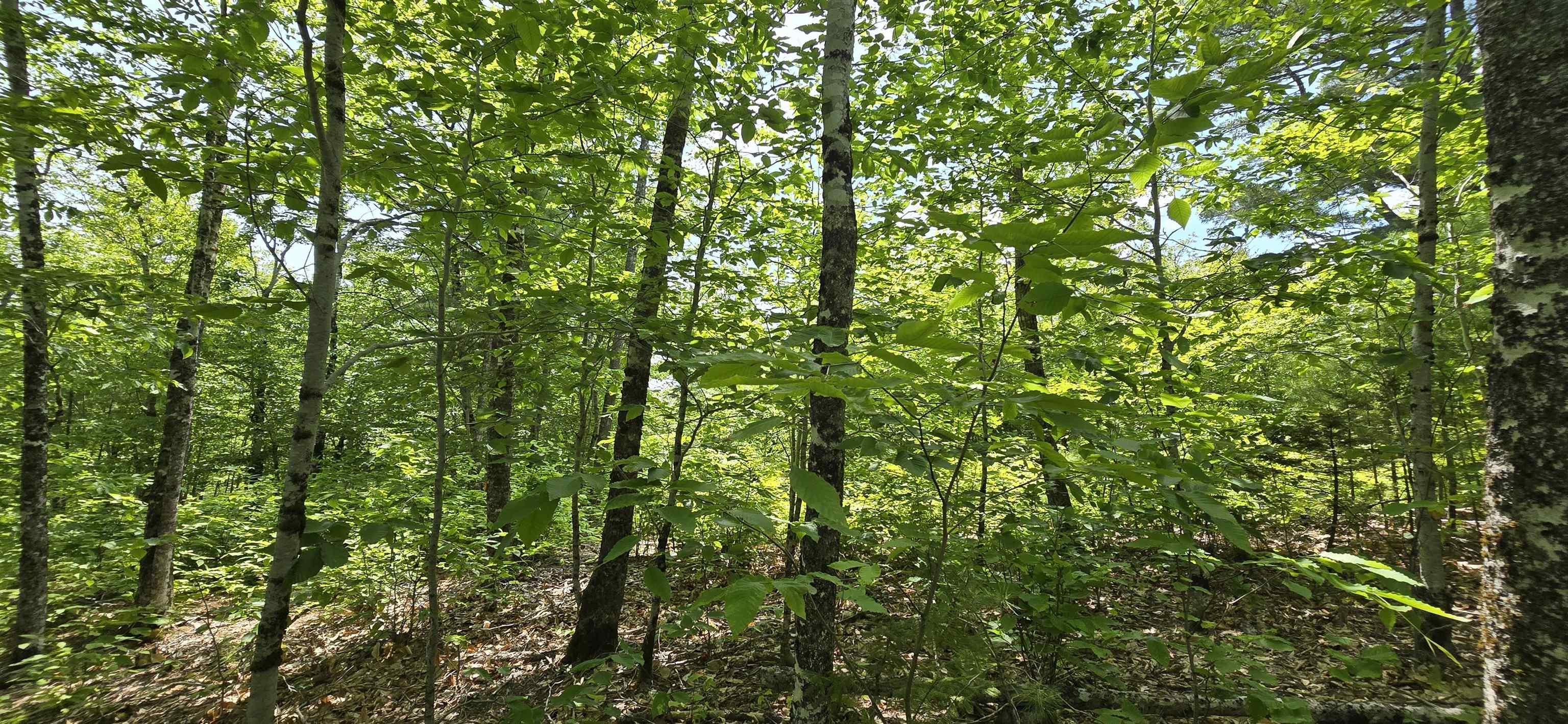 $39,900.00: Lot 24-2 East Clifford Road, East Clifford