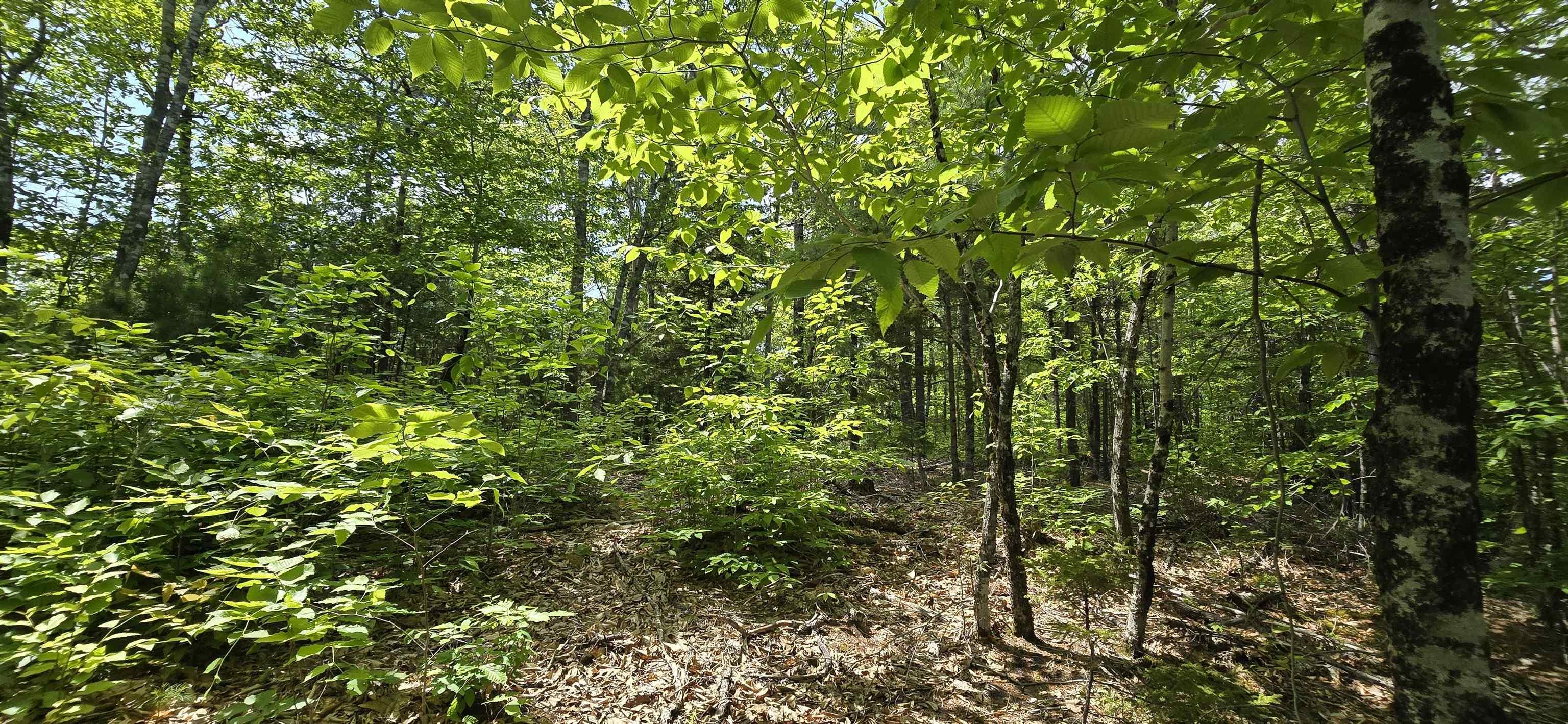 $39,900.00: Lot 24-2 East Clifford Road, East Clifford