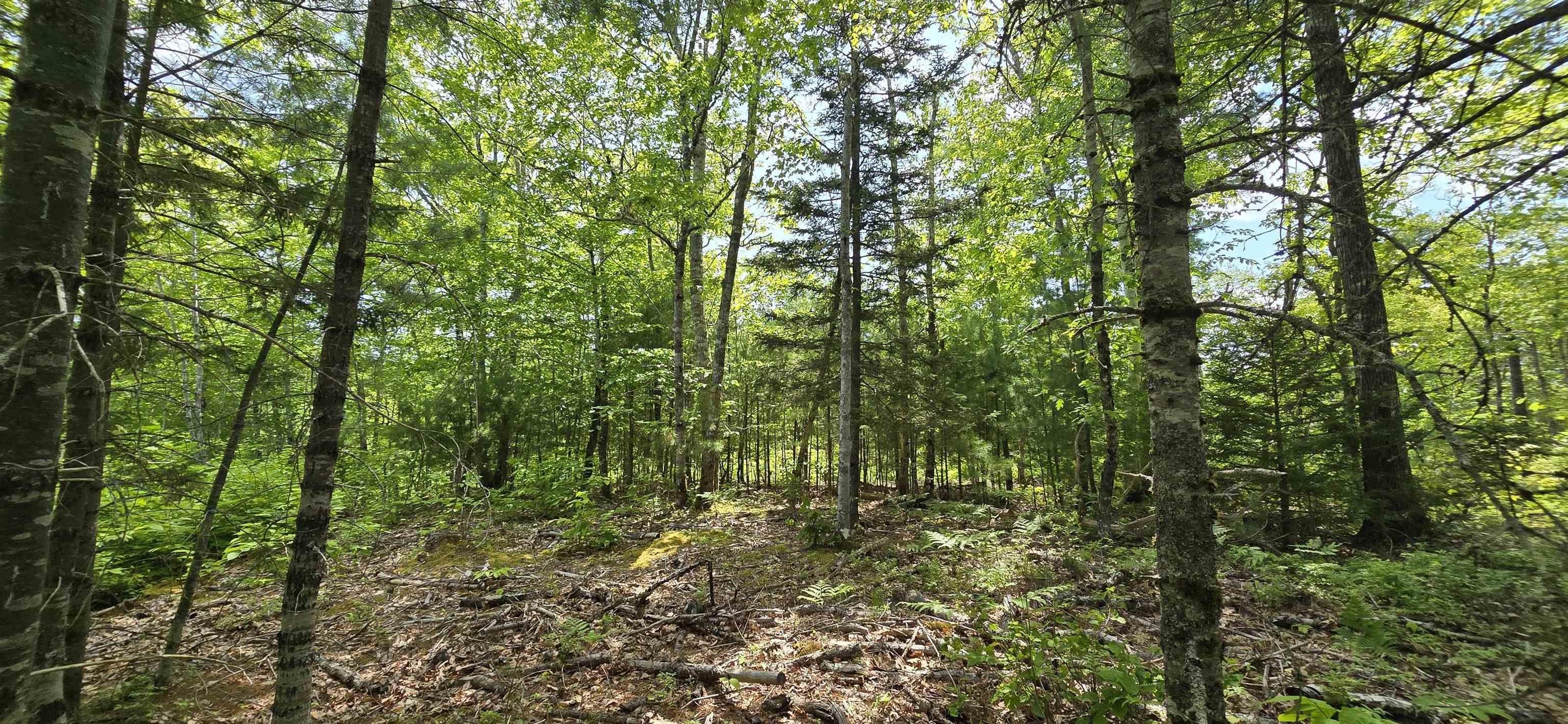 $39,900.00: Lot 24-2 East Clifford Road, East Clifford