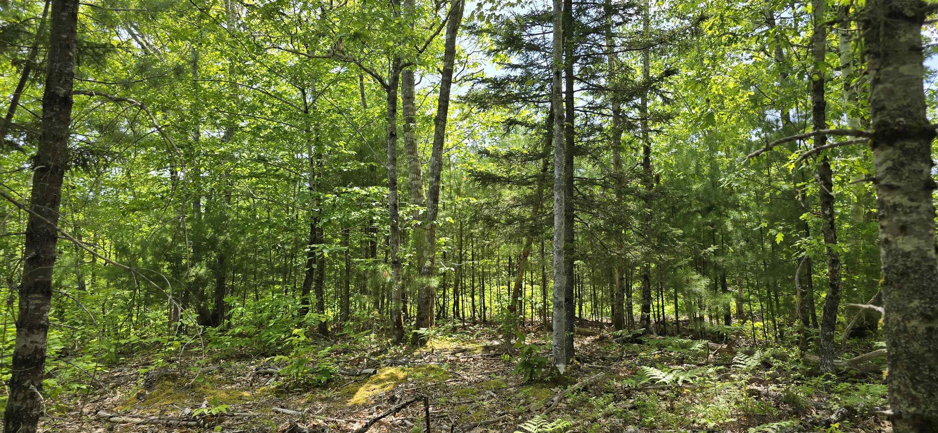 $39,900.00: Lot 24-2 East Clifford Road, East Clifford