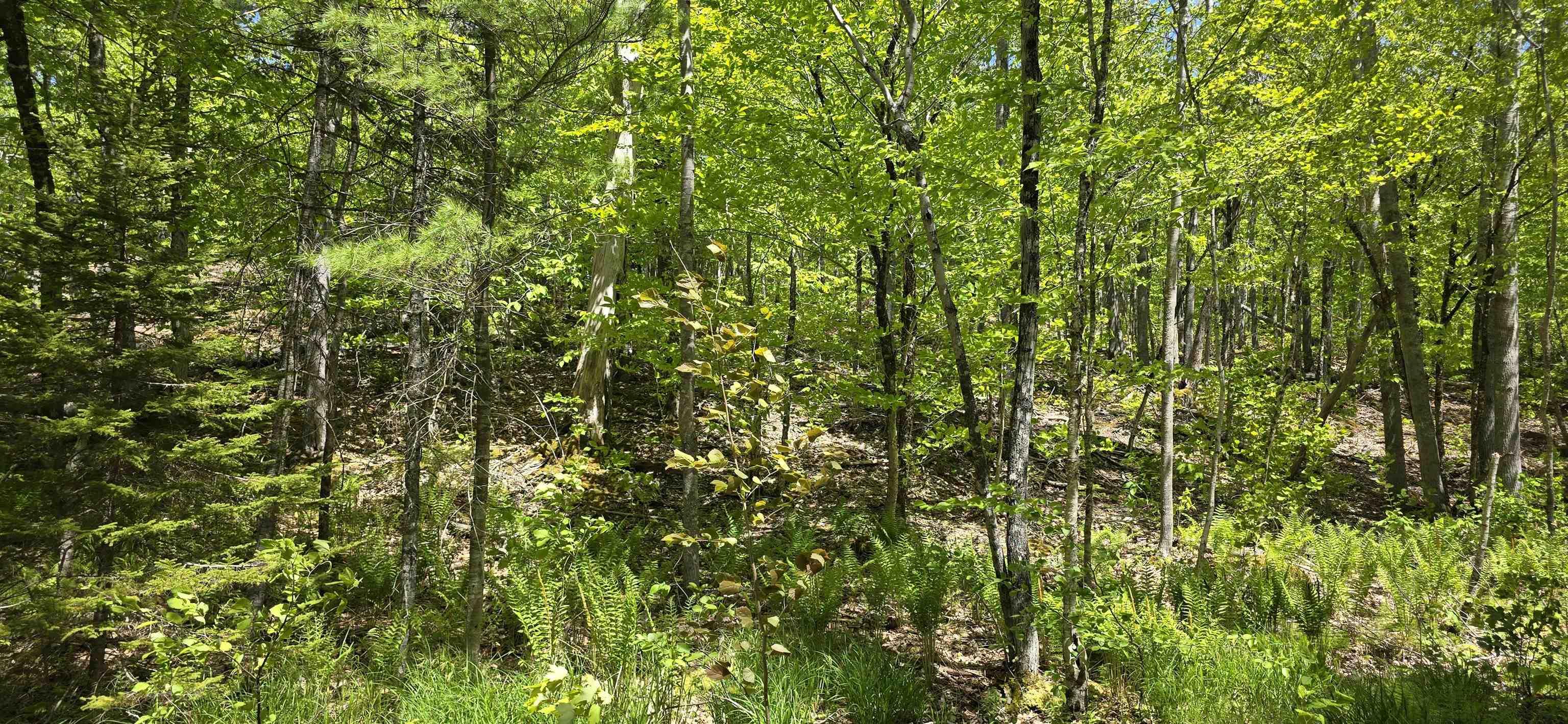 $39,900.00: Lot 24-2 East Clifford Road, East Clifford