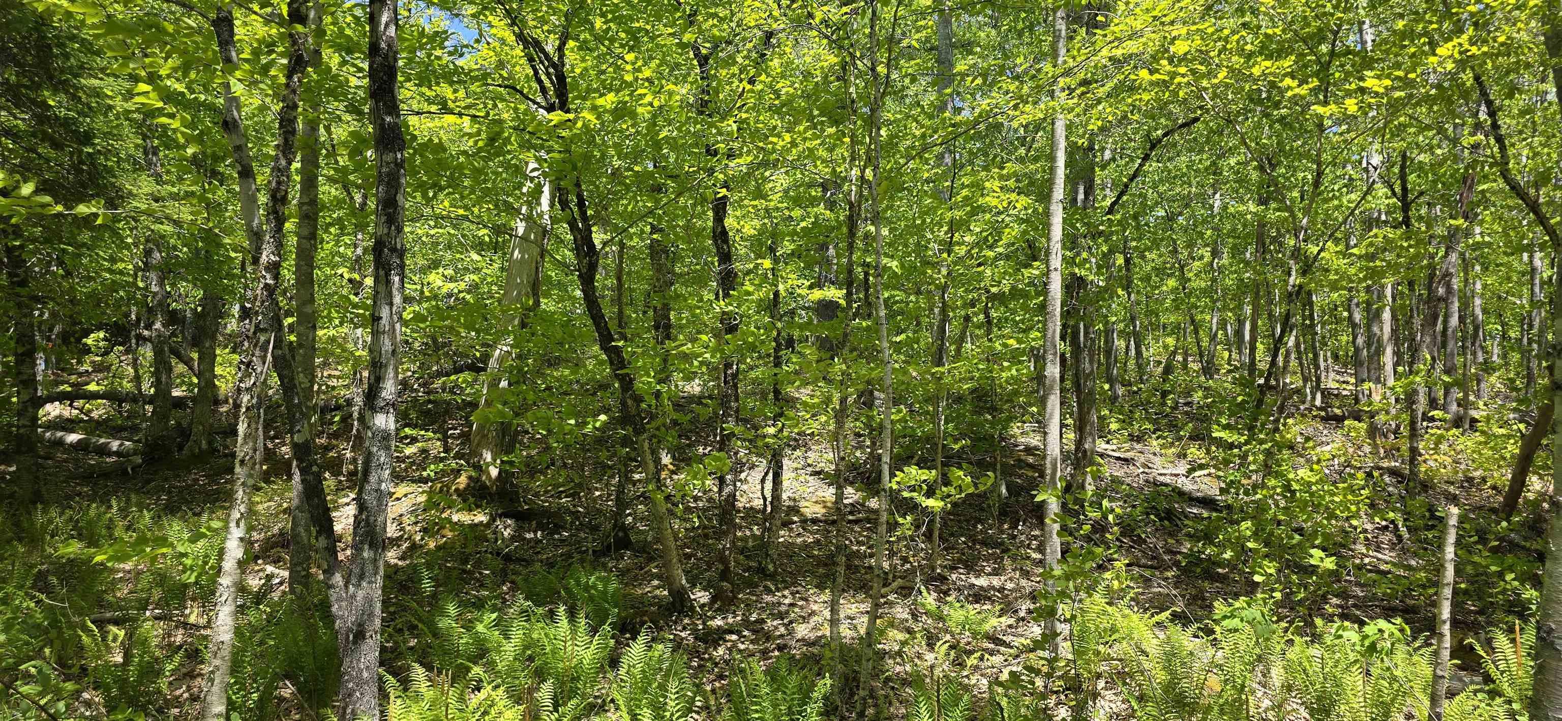 $39,900.00: Lot 24-2 East Clifford Road, East Clifford