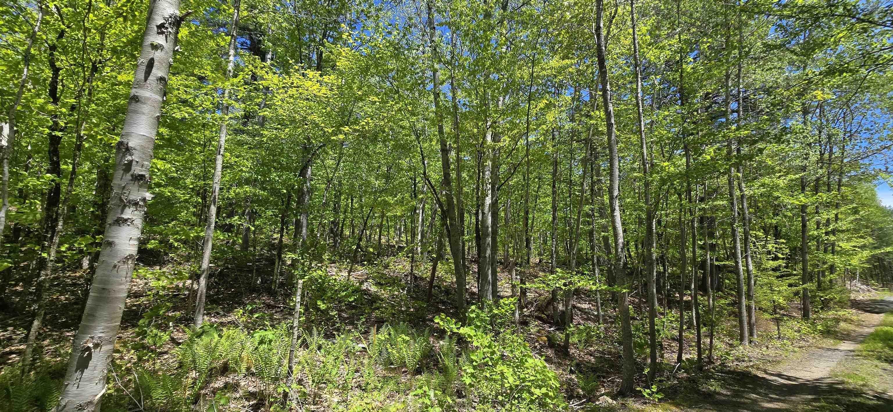 $39,900.00: Lot 24-2 East Clifford Road, East Clifford