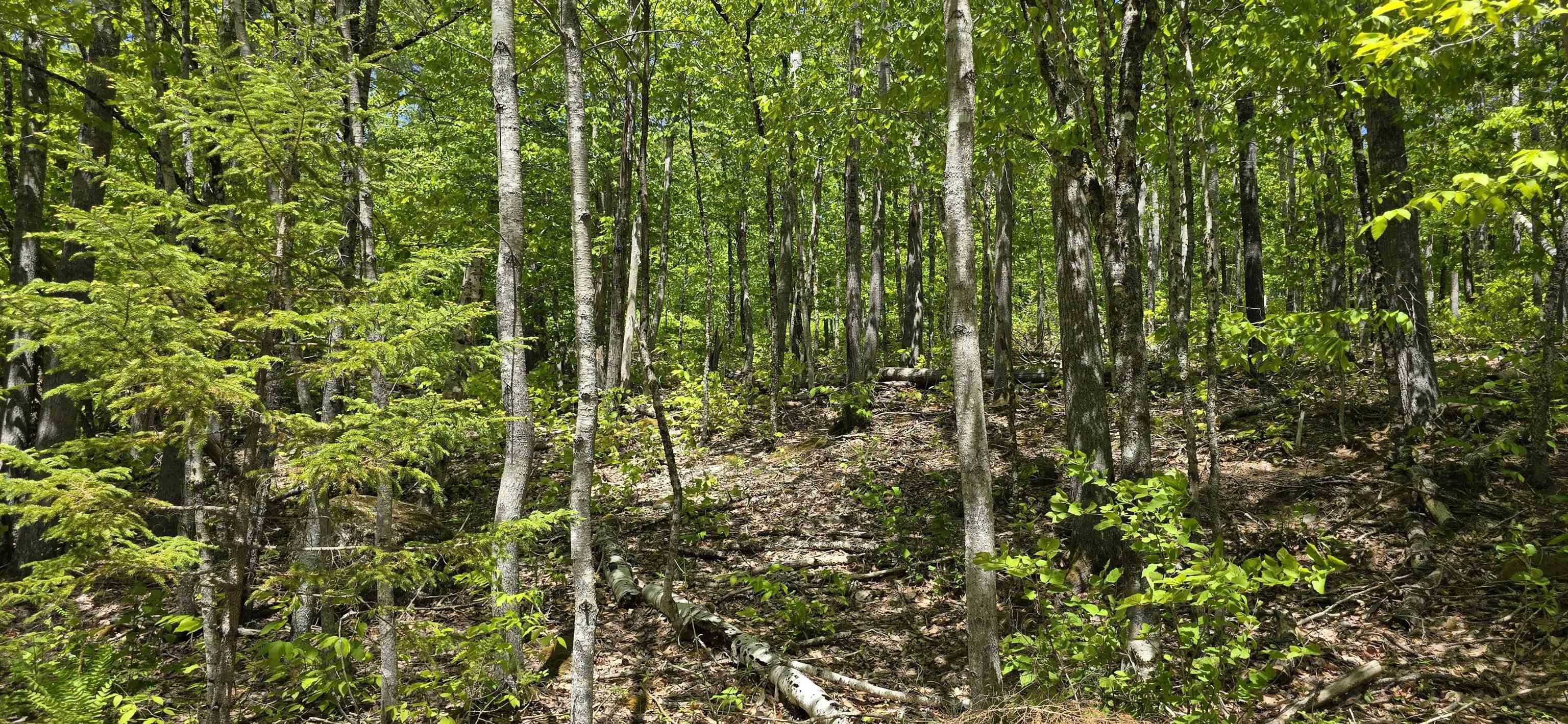 $39,900.00: Lot 24-2 East Clifford Road, East Clifford