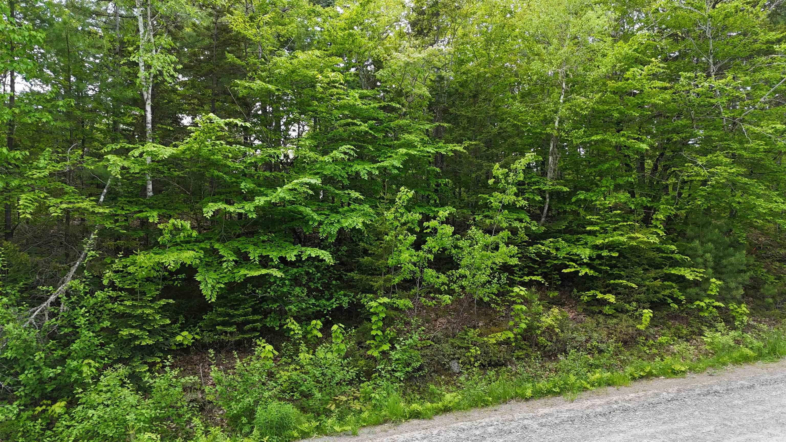 $39,900.00: Lot 24-2 East Clifford Road, East Clifford