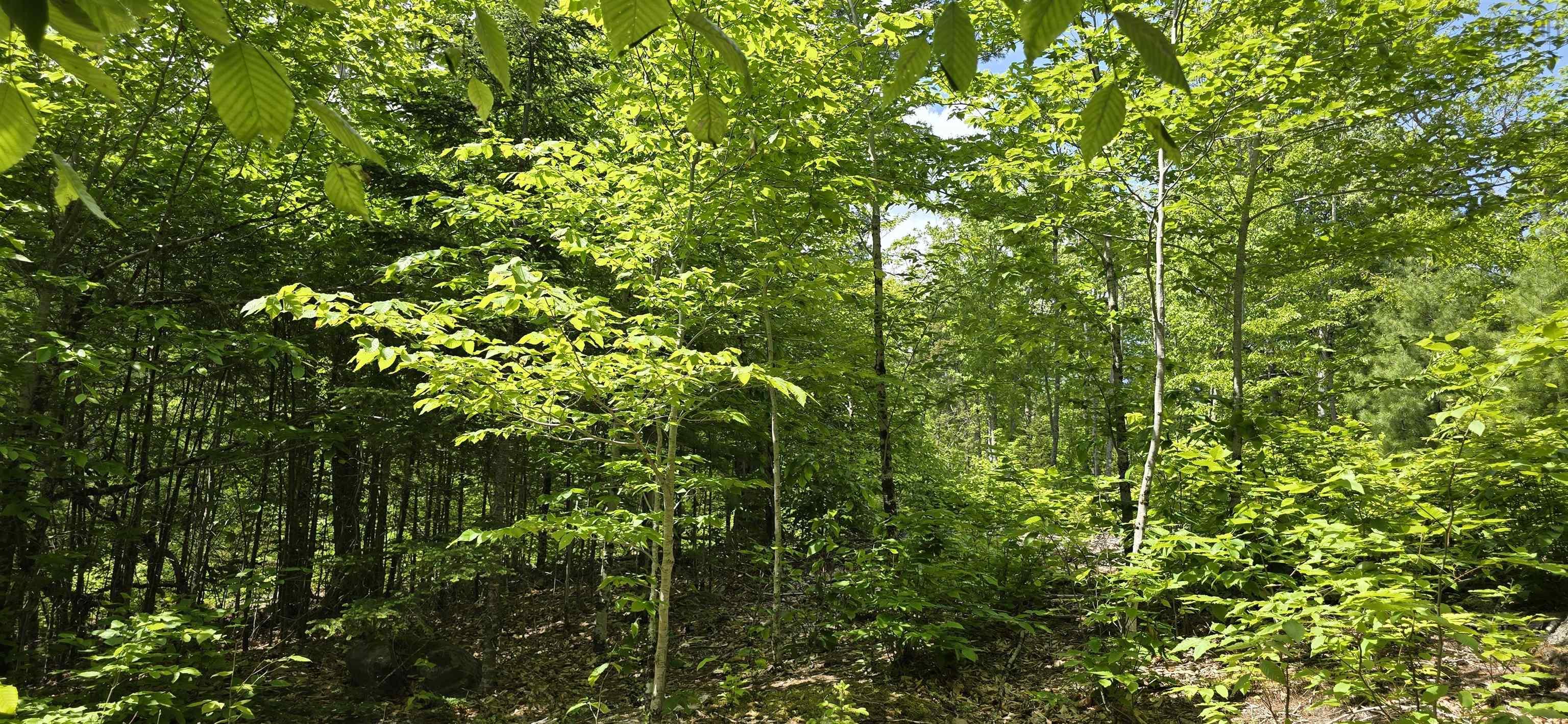 $39,900.00: Lot 24-2 East Clifford Road, East Clifford