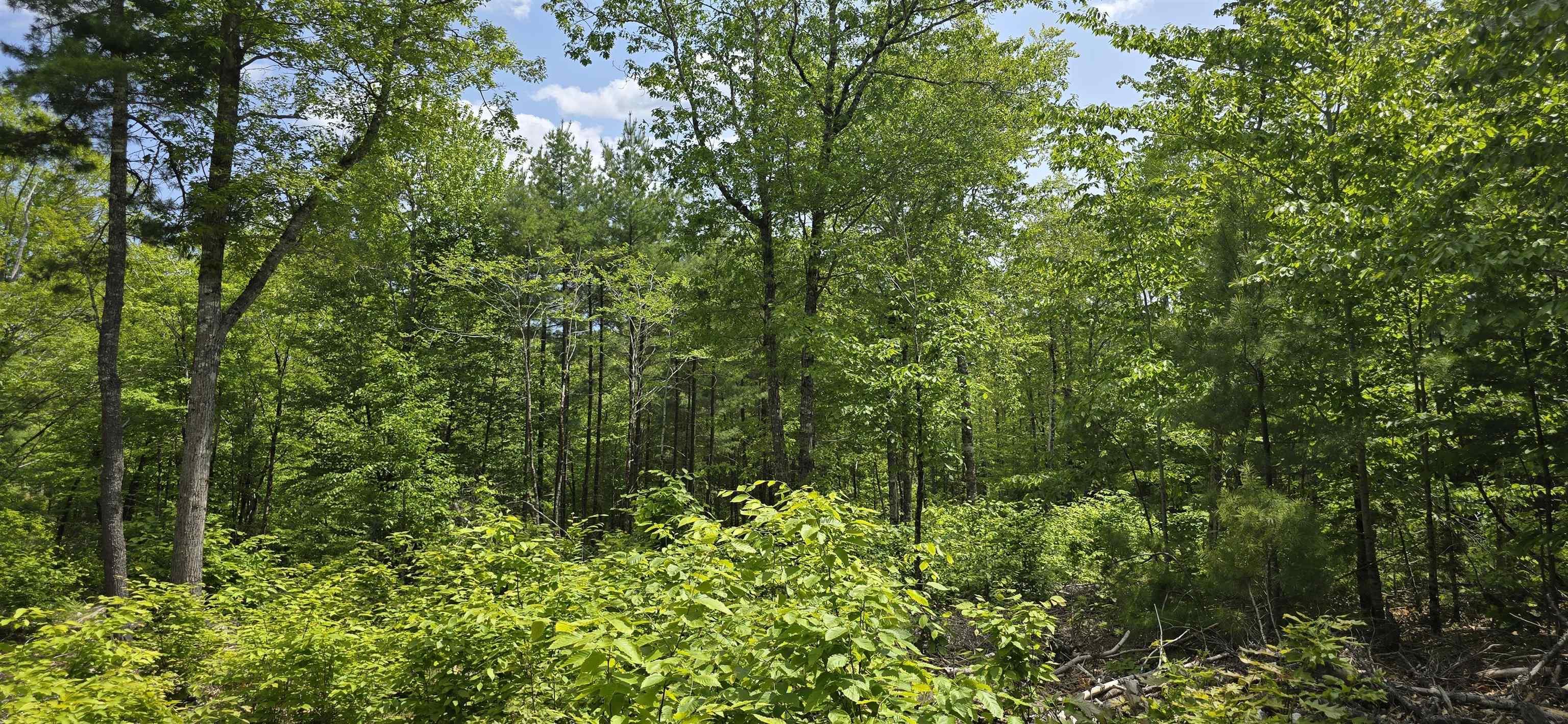$38,900.00: Lot 24-3 East Clifford Road, East Clifford