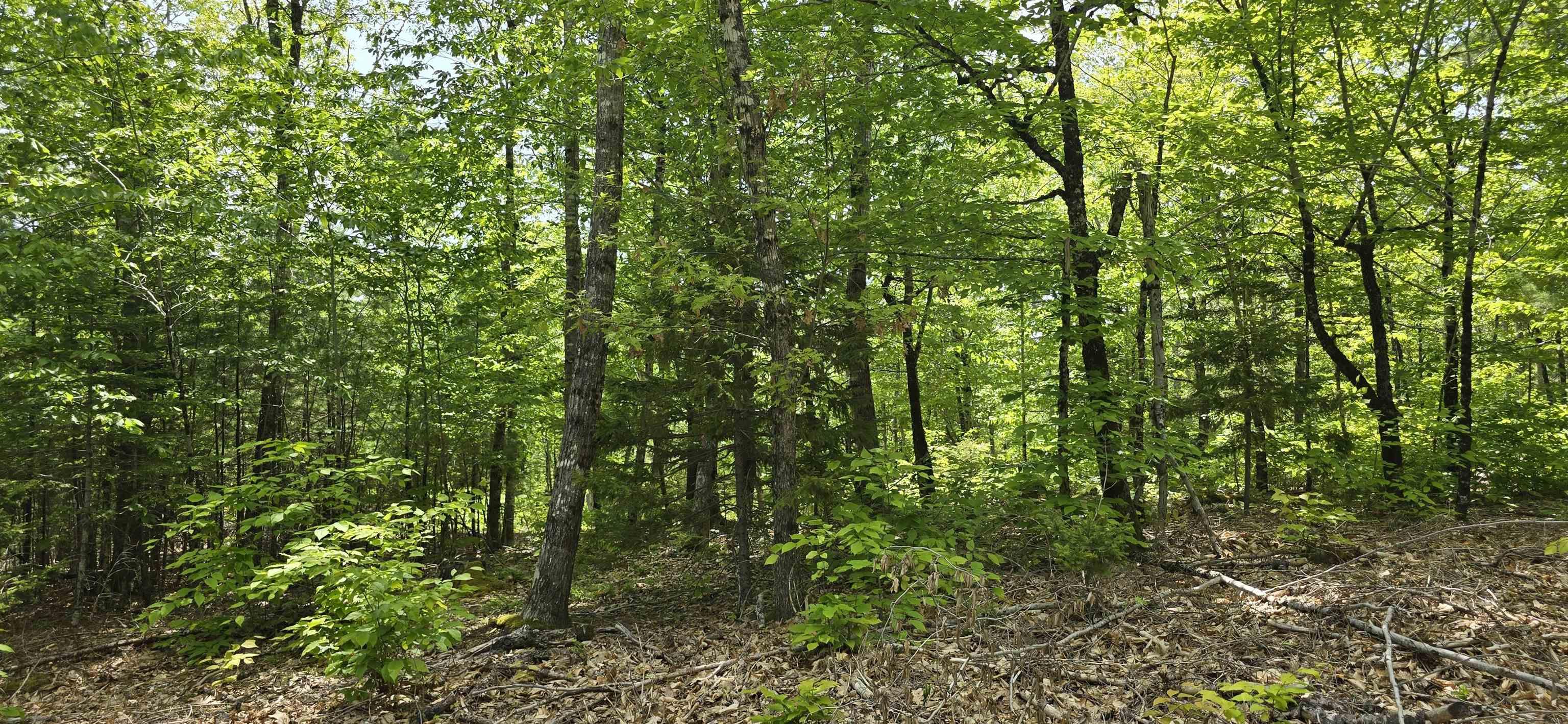 $38,900.00: Lot 24-3 East Clifford Road, East Clifford