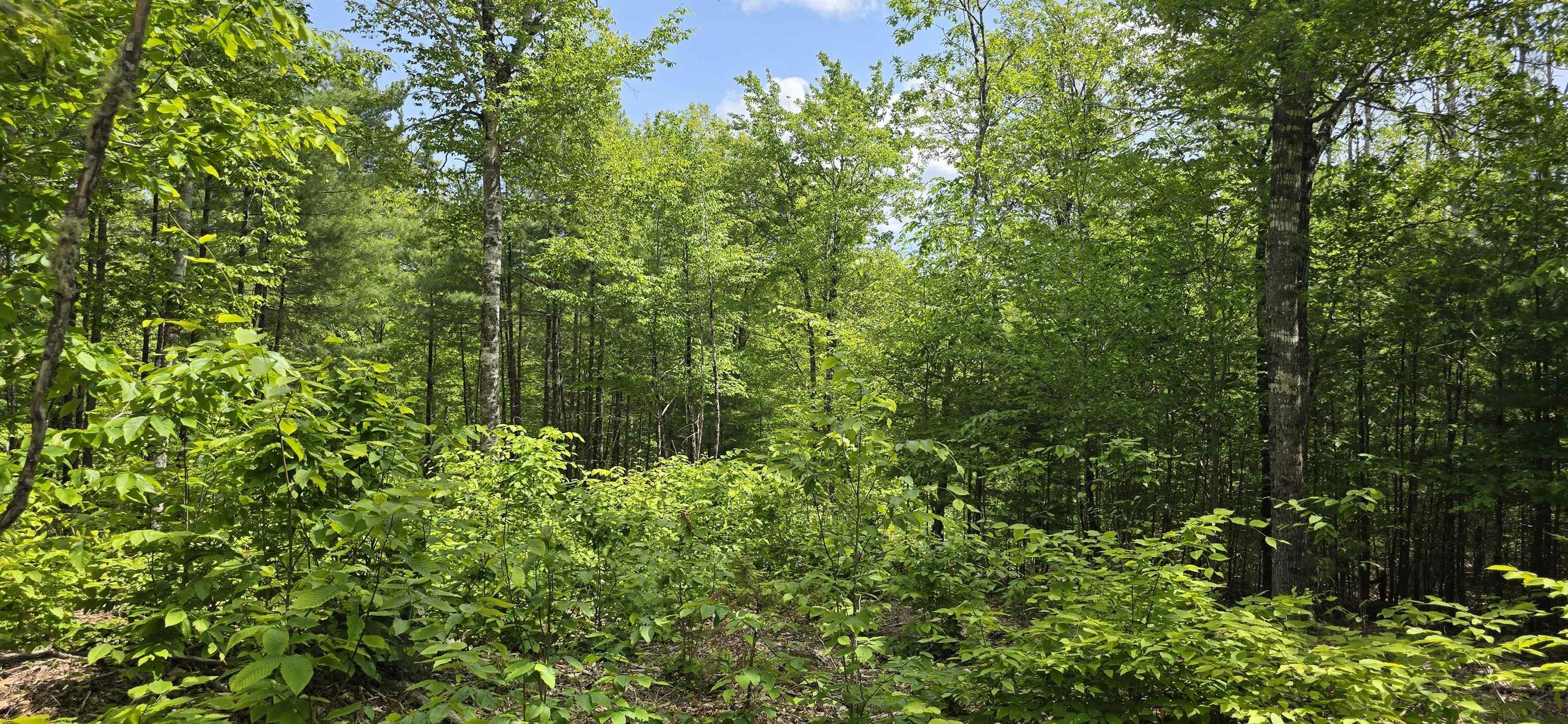 $38,900.00: Lot 24-3 East Clifford Road, East Clifford