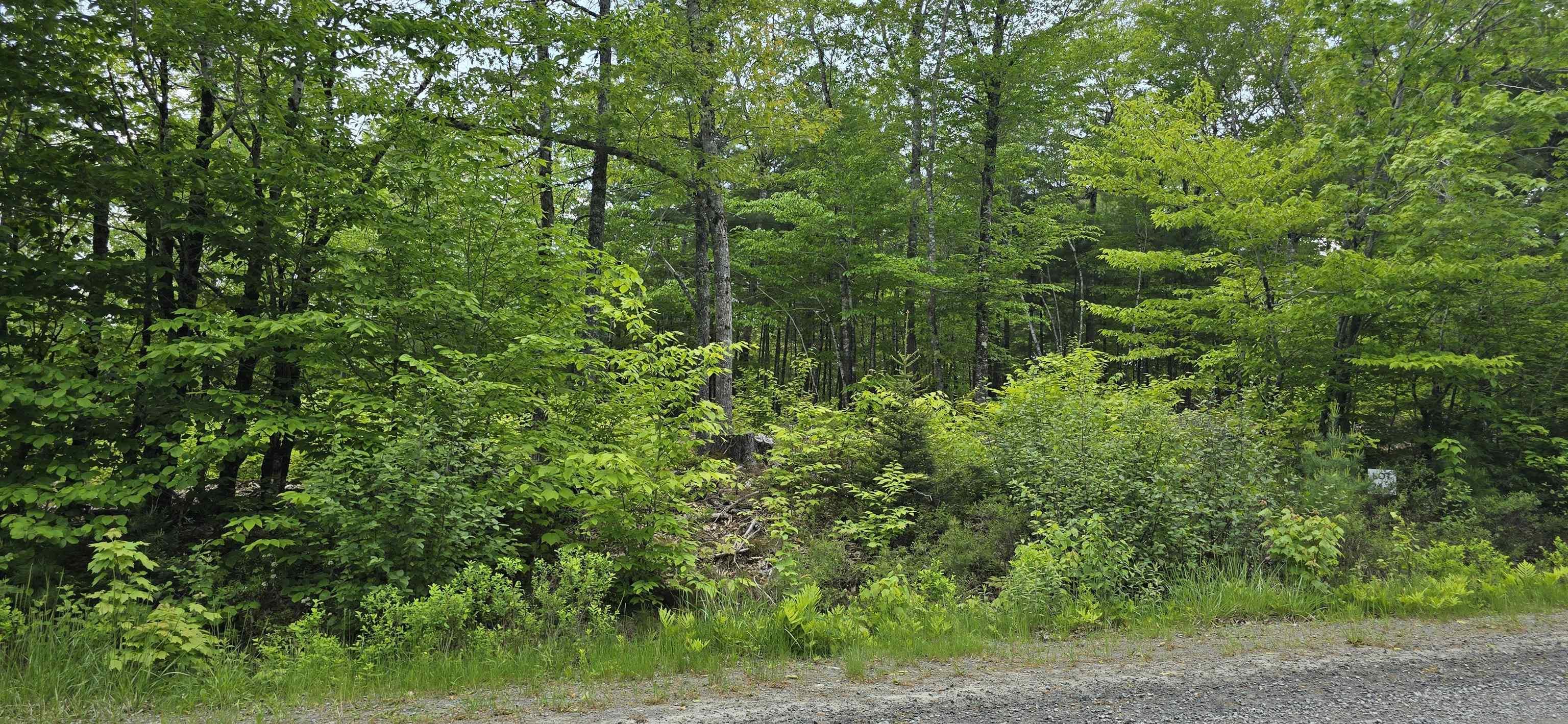 $38,900.00: Lot 24-3 East Clifford Road, East Clifford