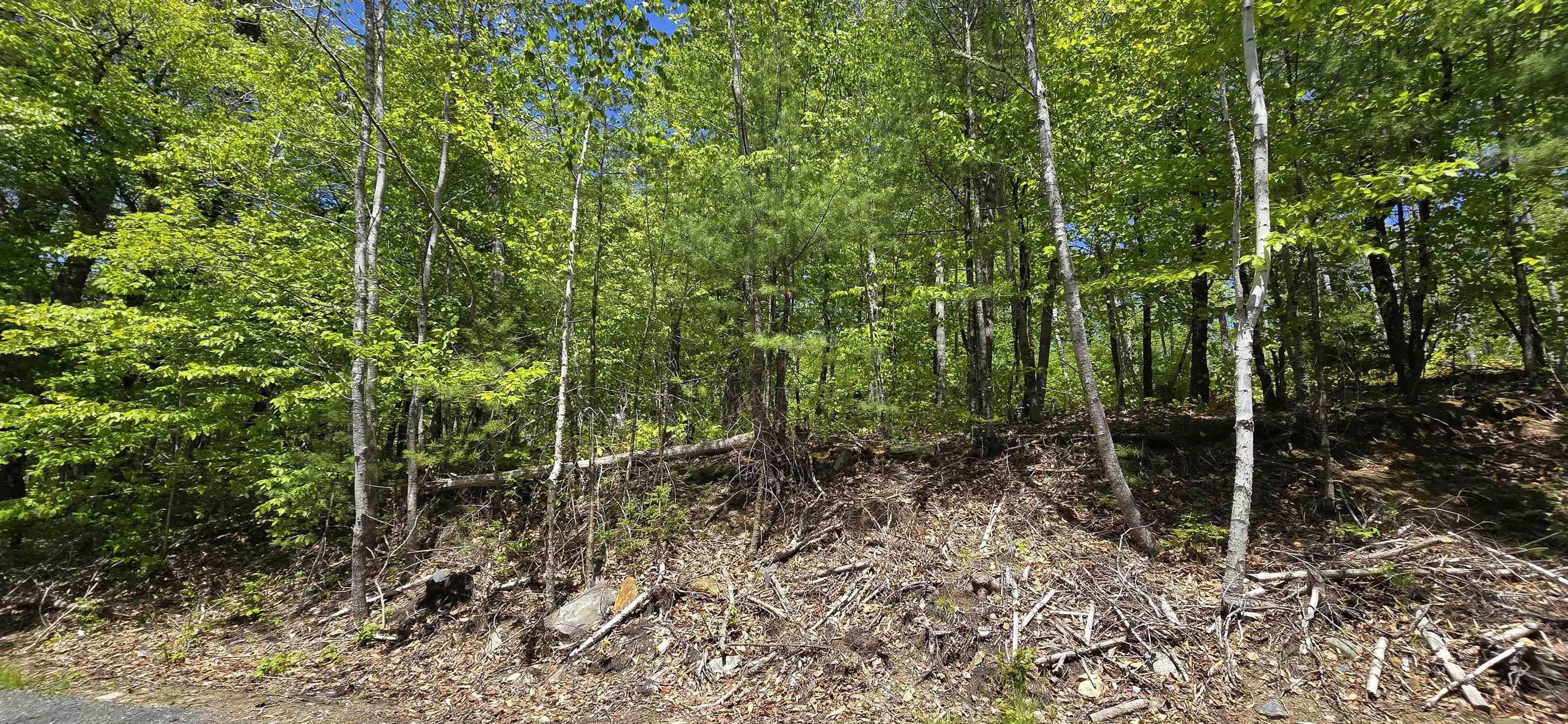 $38,900.00: Lot 24-3 East Clifford Road, East Clifford