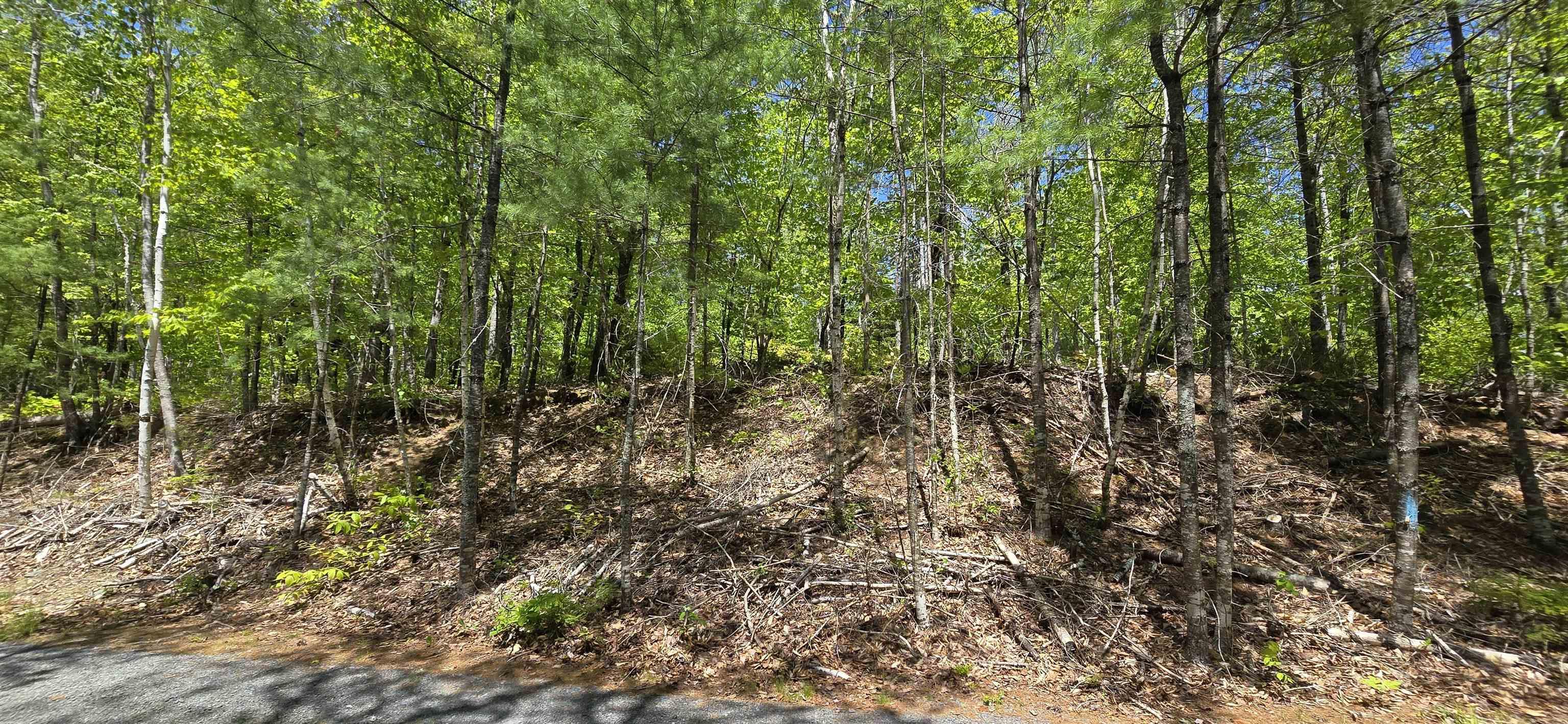 $38,900.00: Lot 24-3 East Clifford Road, East Clifford