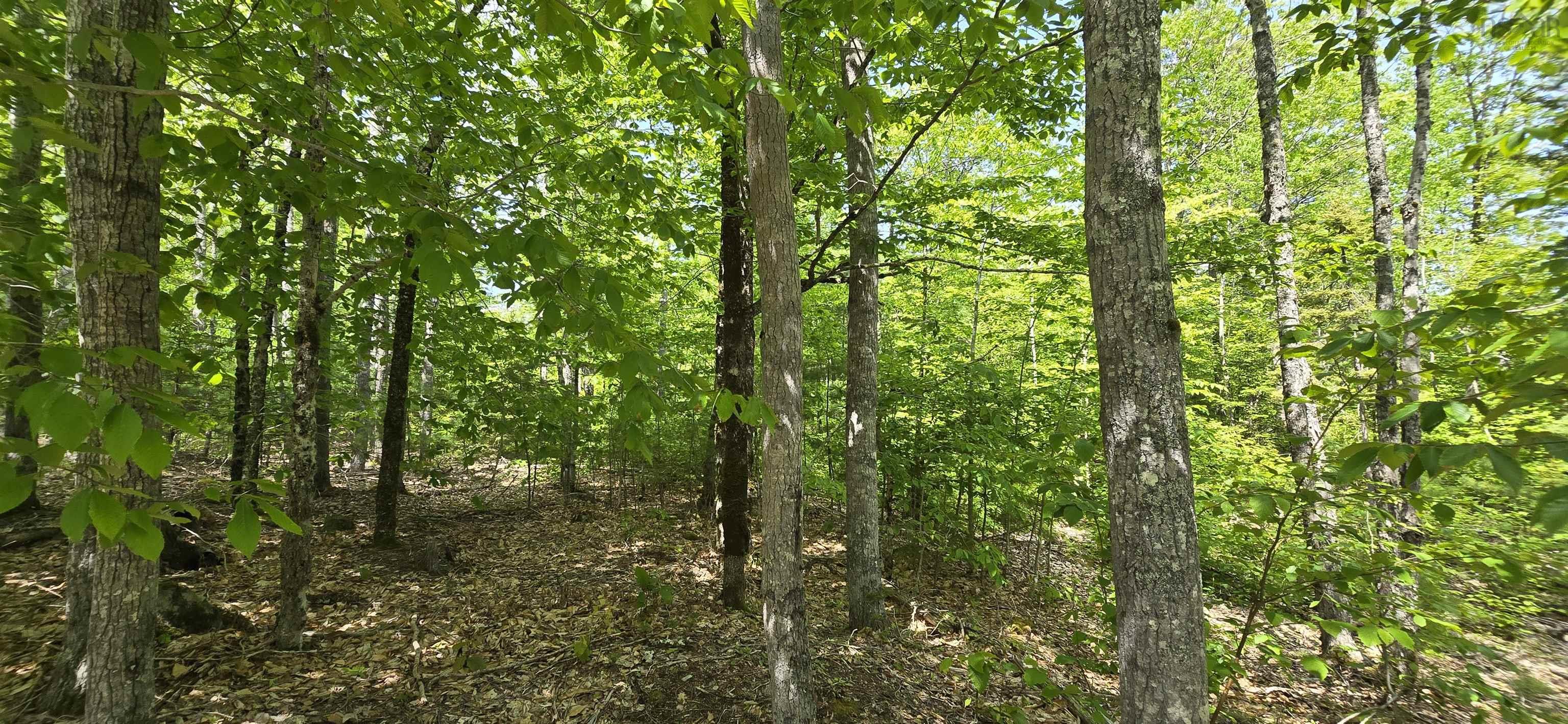$40,900.00: Lot 24-4 East Clifford Road, East Clifford