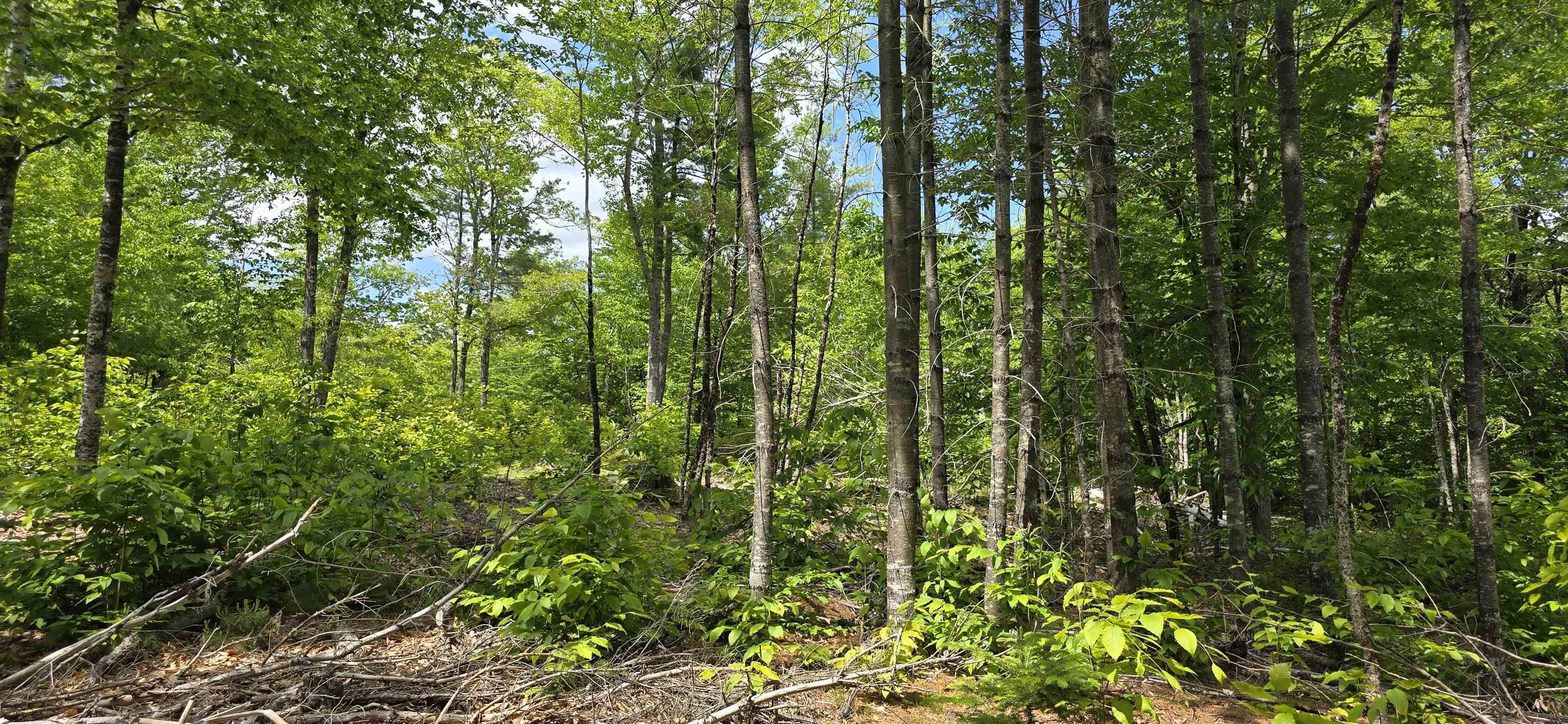 $40,900.00: Lot 24-4 East Clifford Road, East Clifford
