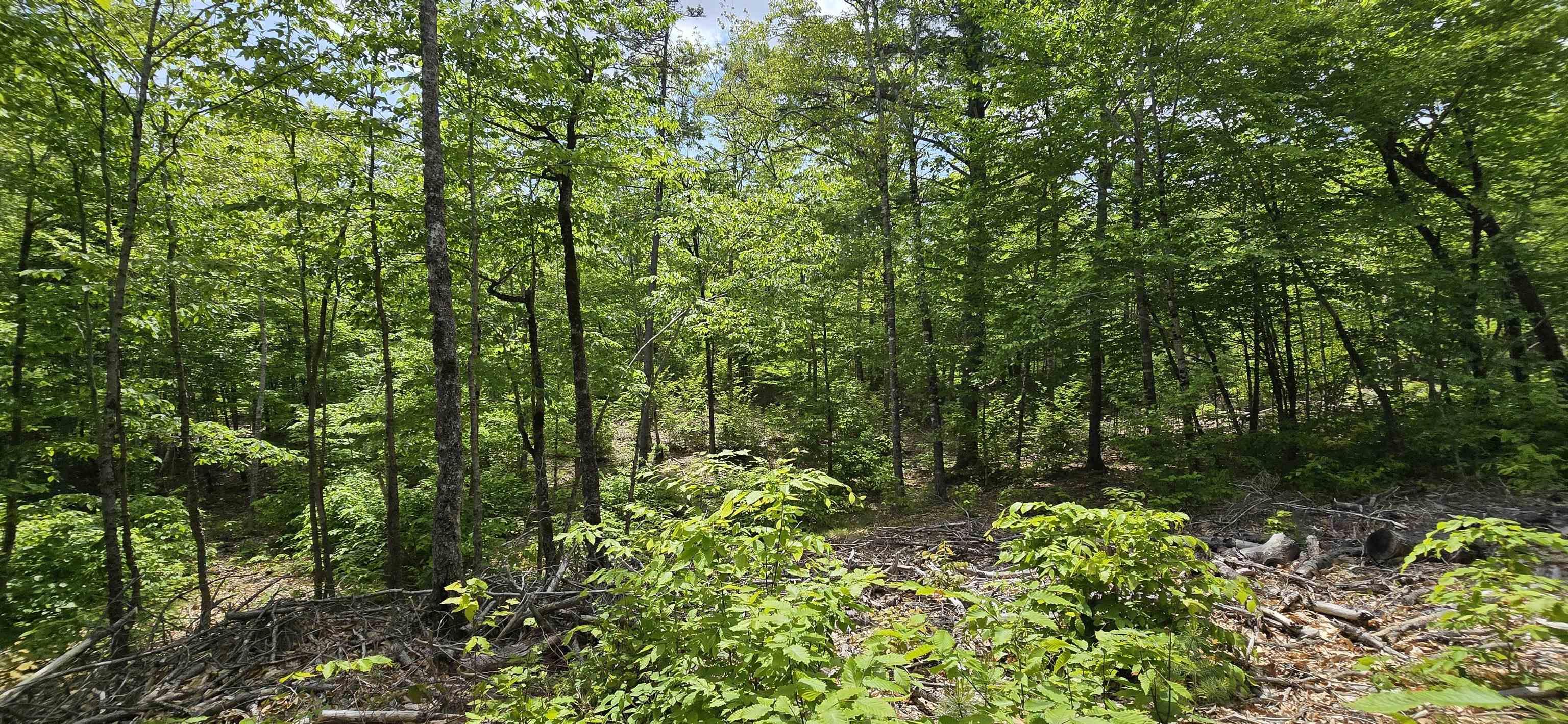 $40,900.00: Lot 24-4 East Clifford Road, East Clifford