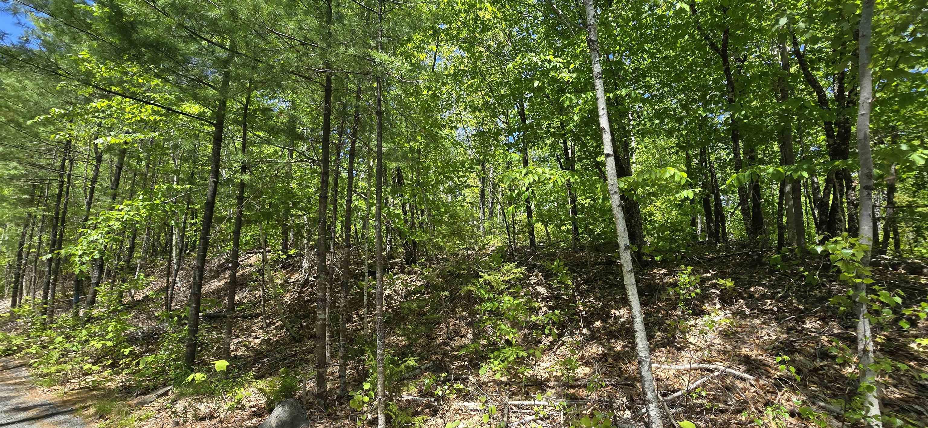$40,900.00: Lot 24-4 East Clifford Road, East Clifford