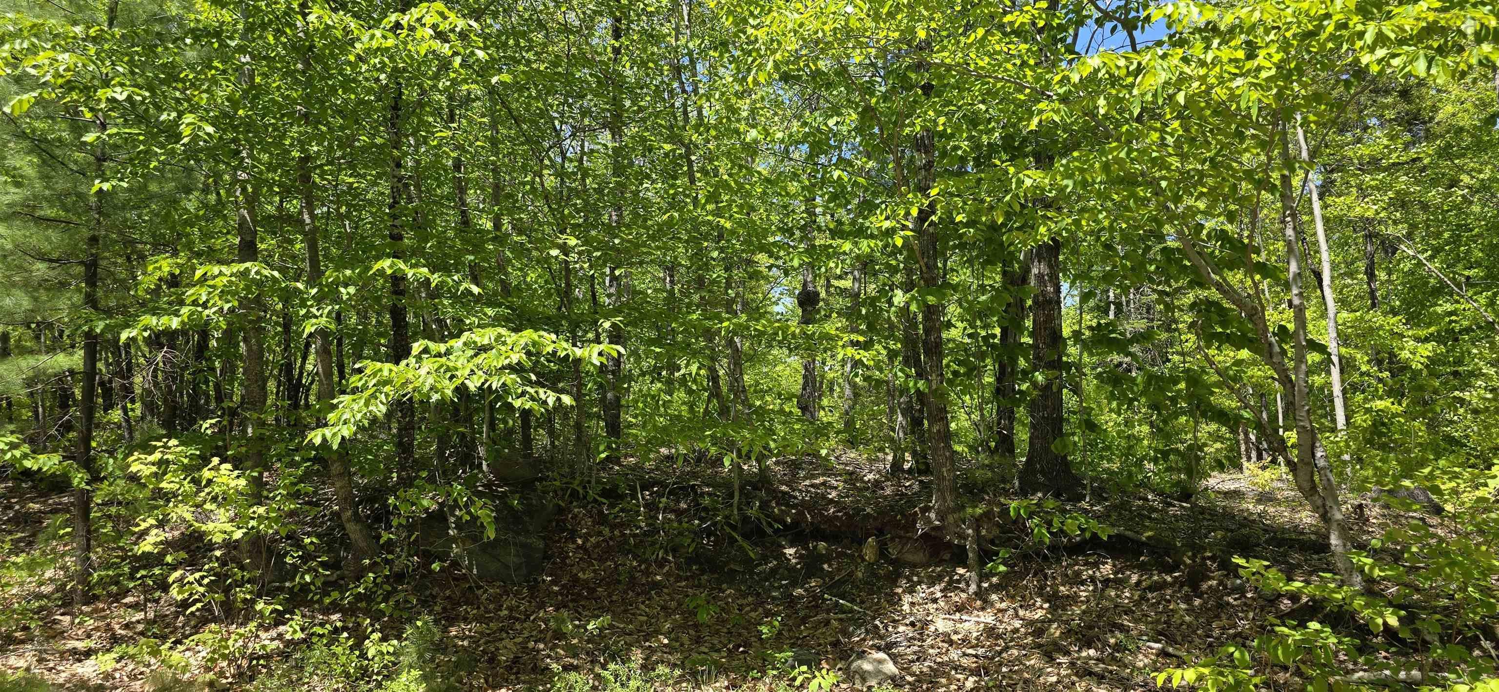 $40,900.00: Lot 24-4 East Clifford Road, East Clifford