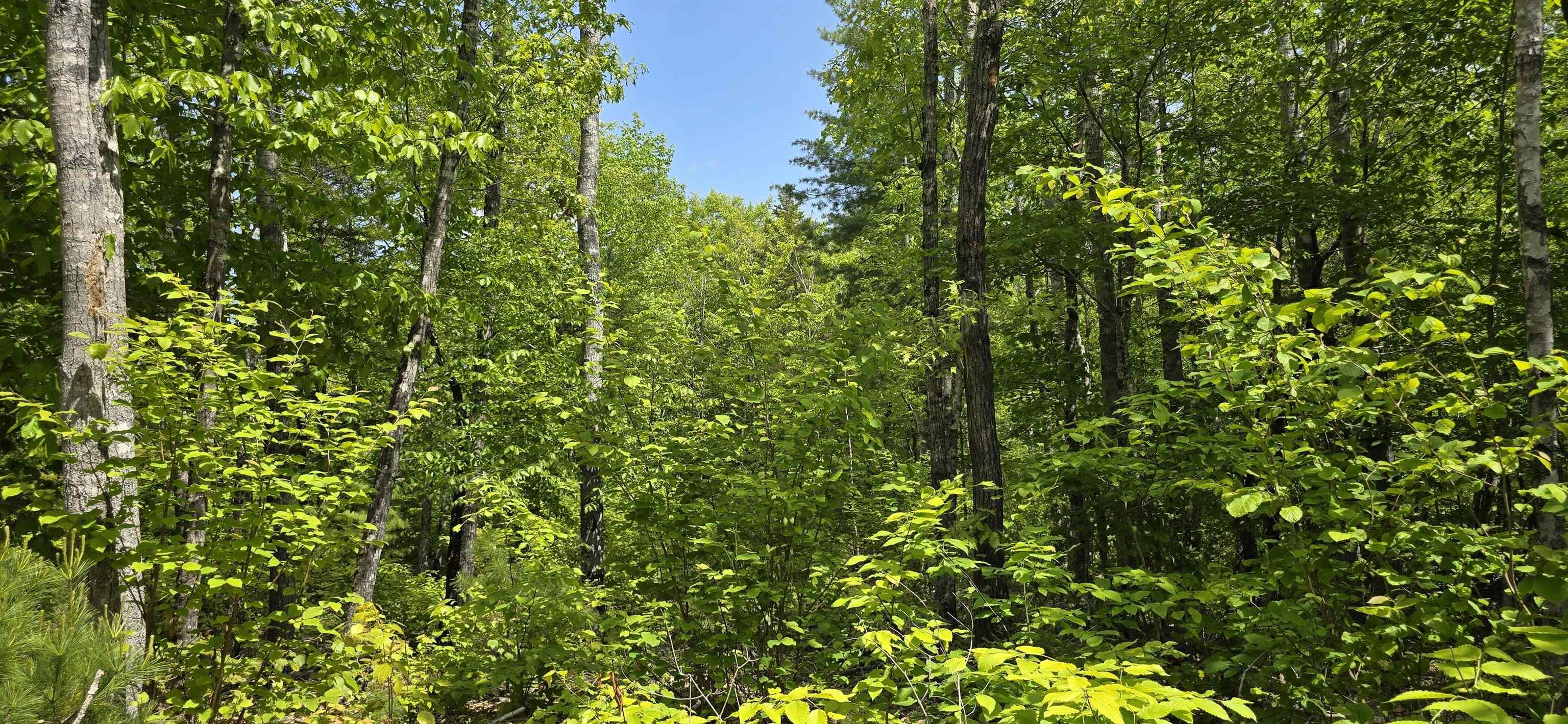 $40,900.00: Lot 24-4 East Clifford Road, East Clifford