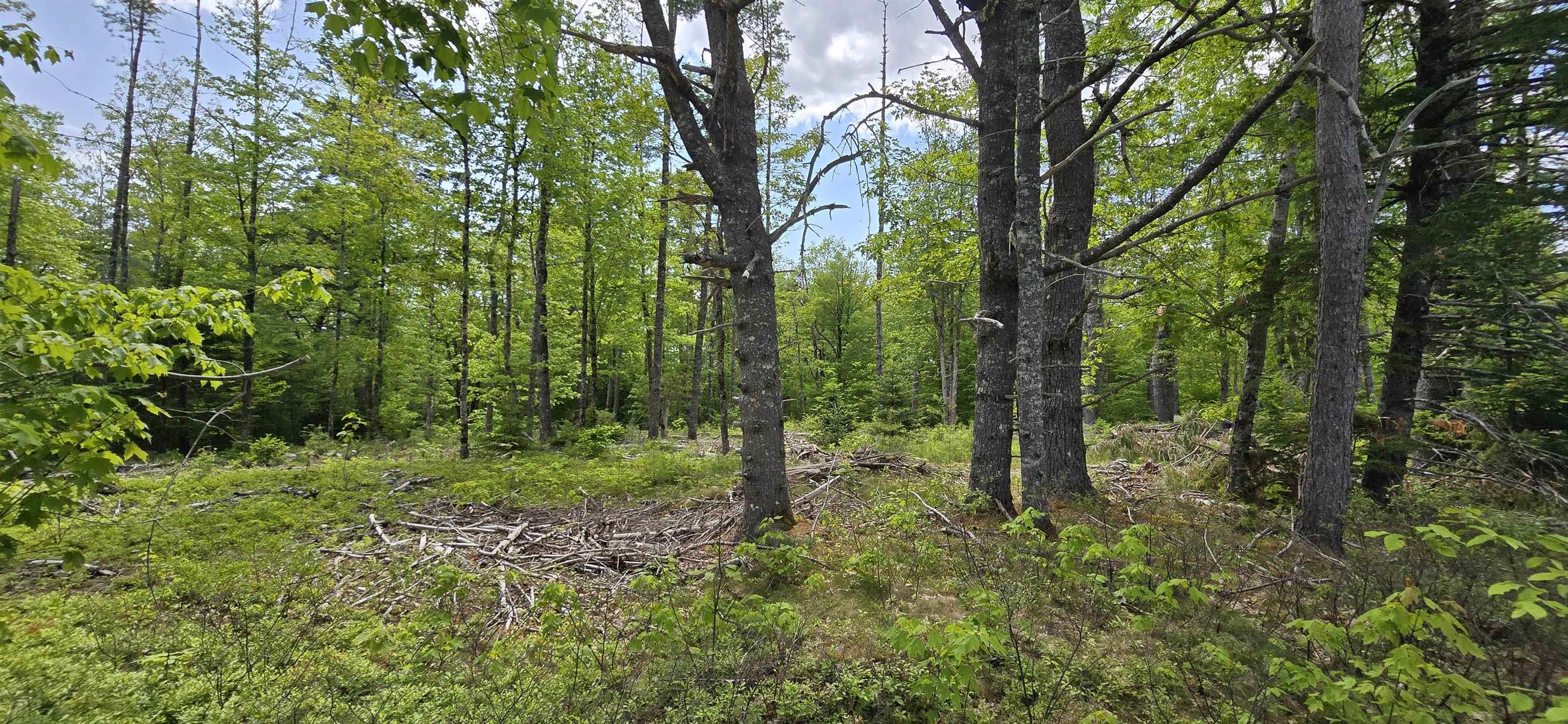 $33,900.00: Lot 24-6 East Clifford Road, East Clifford