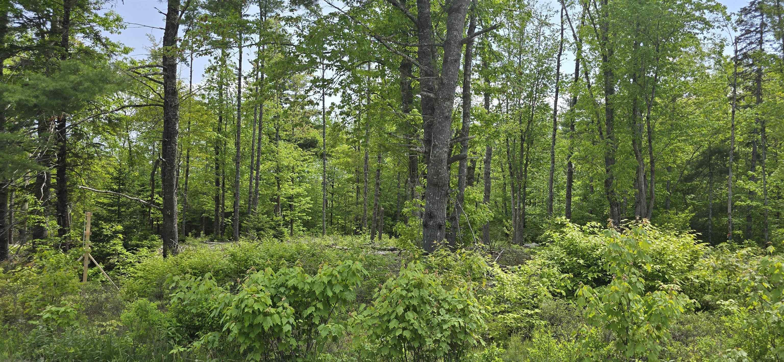 $33,900.00: Lot 24-6 East Clifford Road, East Clifford