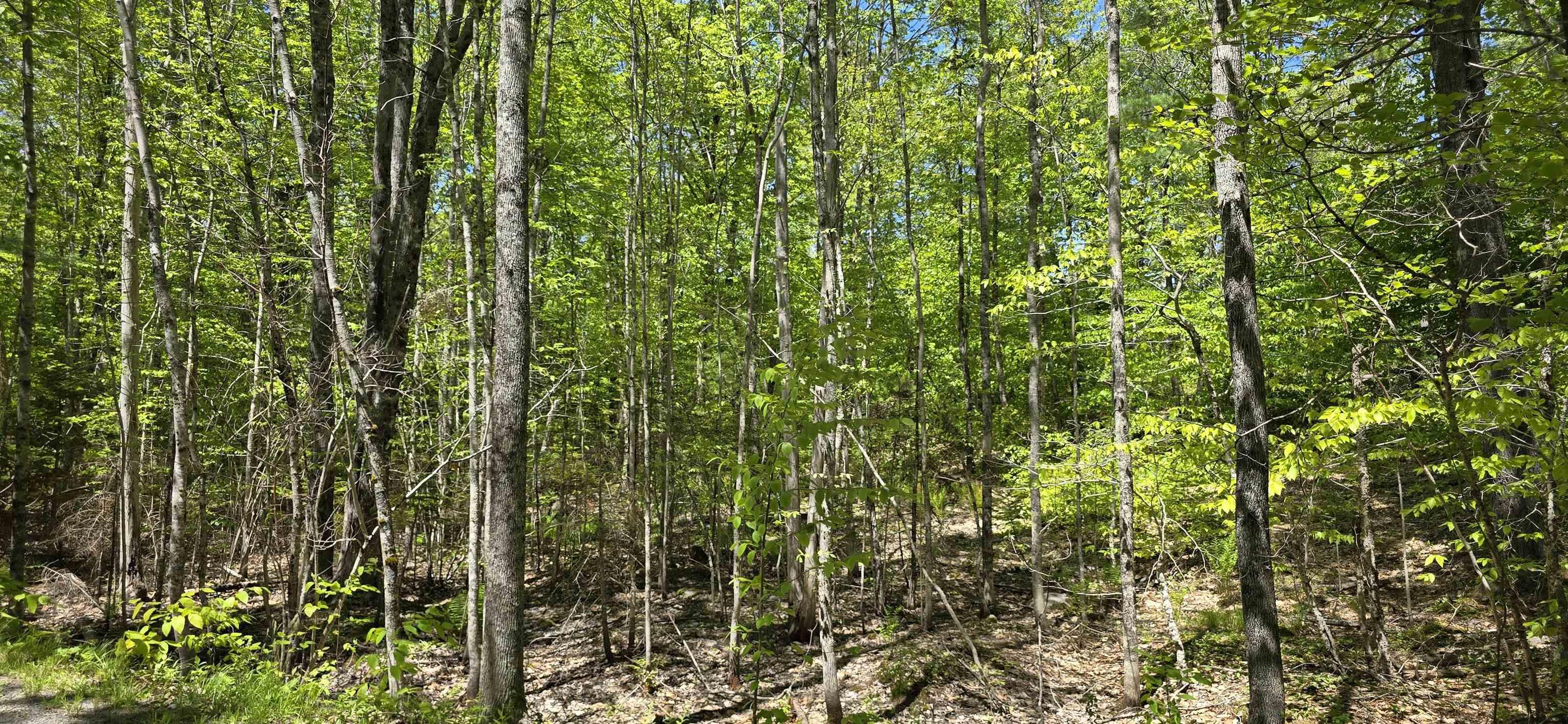 $33,900.00: Lot 24-6 East Clifford Road, East Clifford